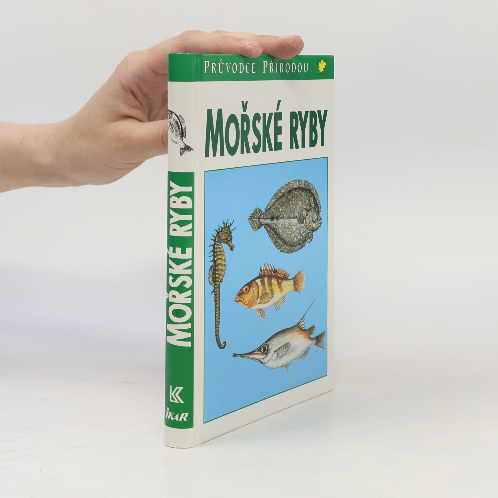 Frieder Sauer Mořské ryby v evropských vodách