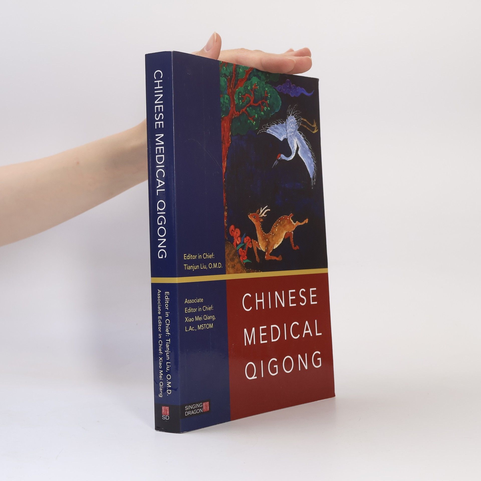 Xiao Mei Qiang Chinese Medical Qigong