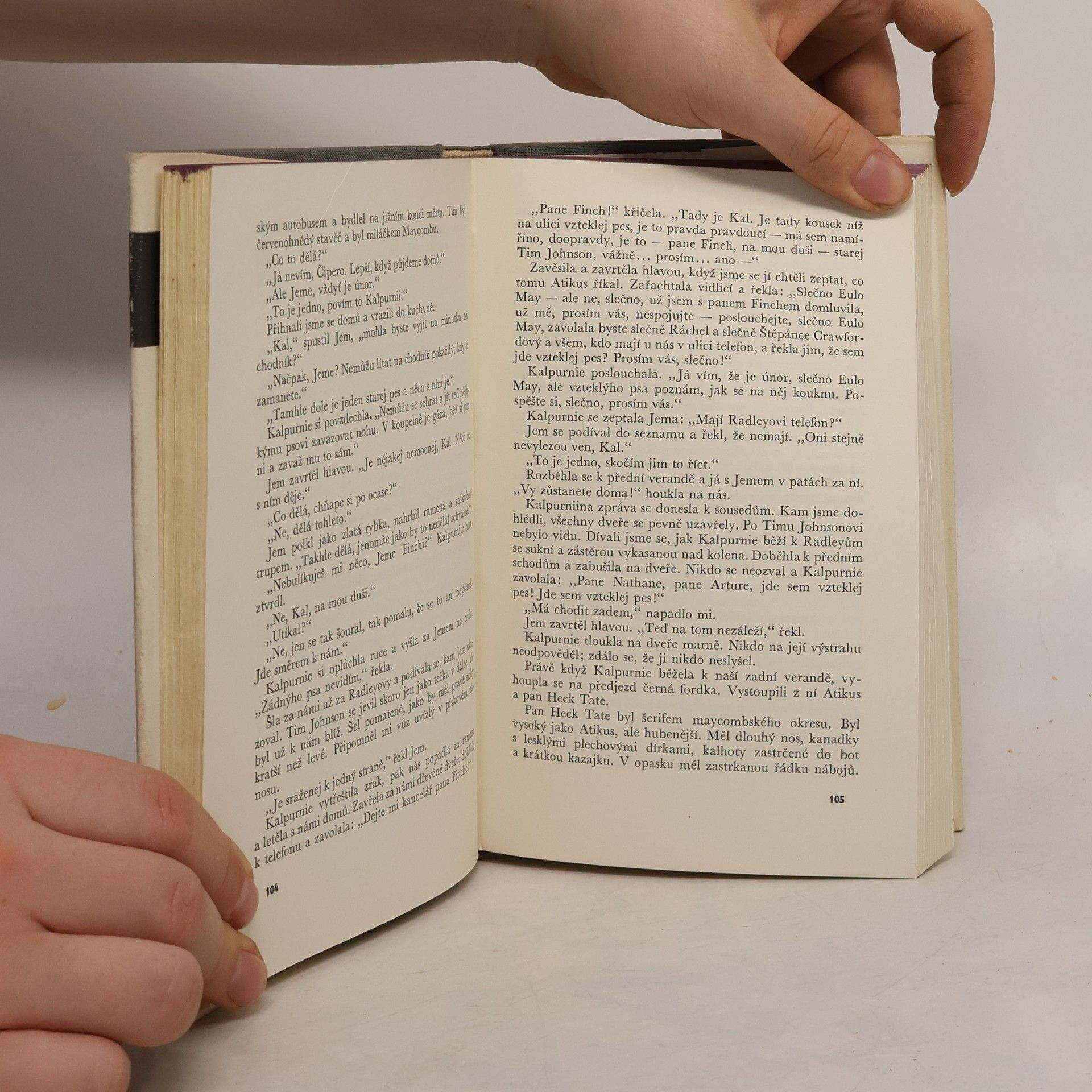 Harper Lee Jako zabít ptáčka