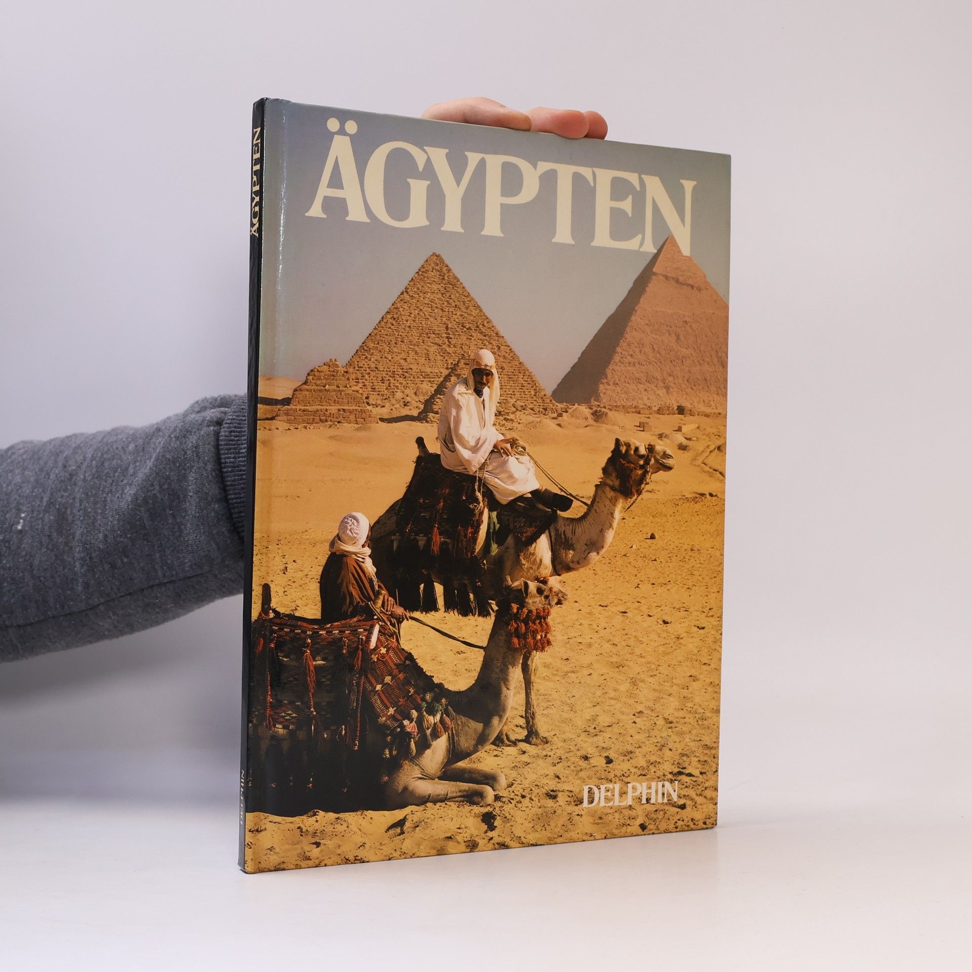 David Gibbon Ägypten