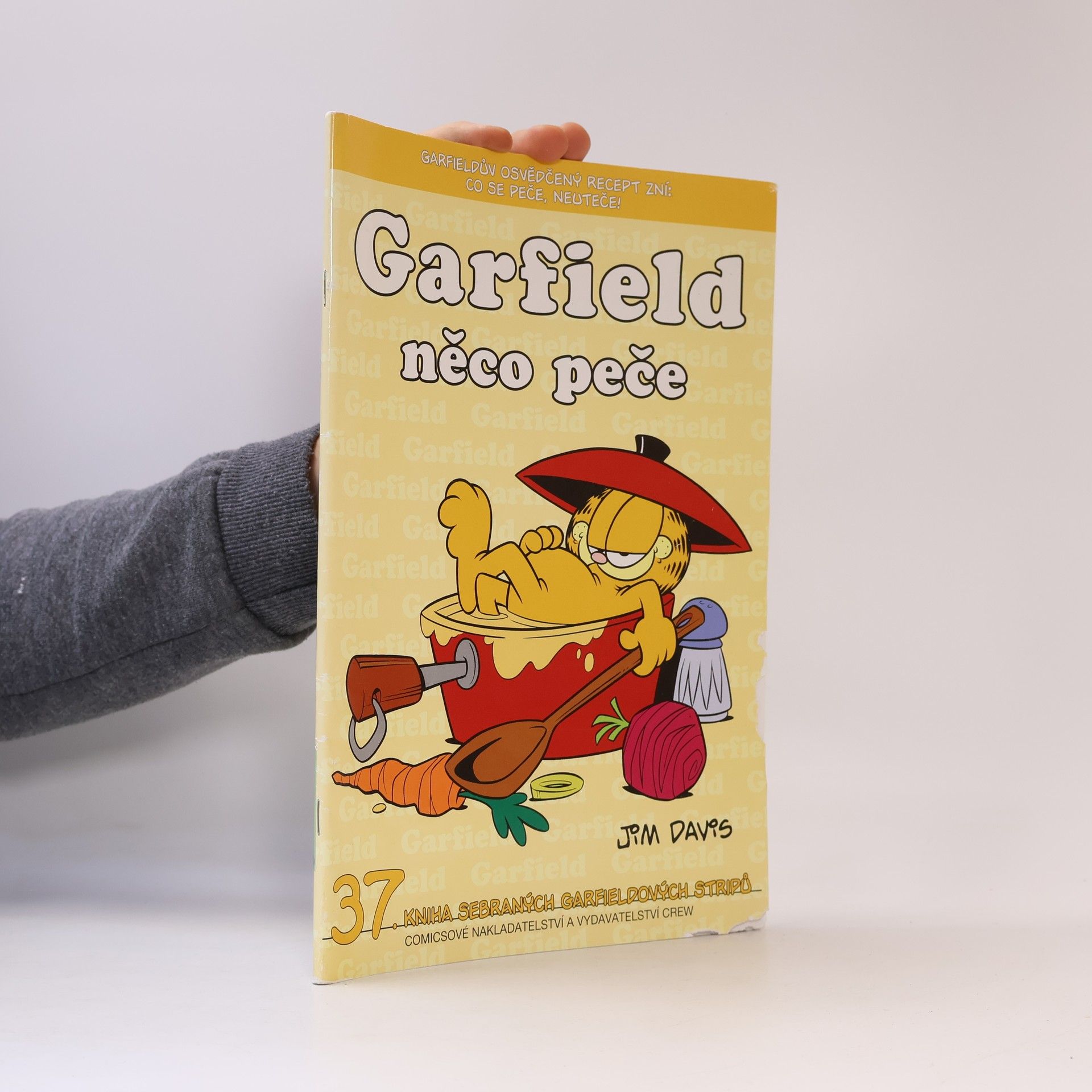 Jim Davis Garfield něco peče
