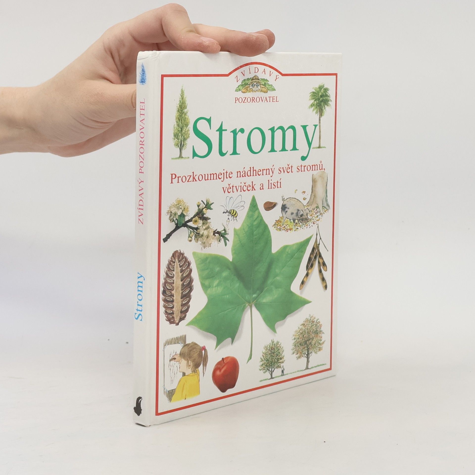 Linda Gamlin Stromy