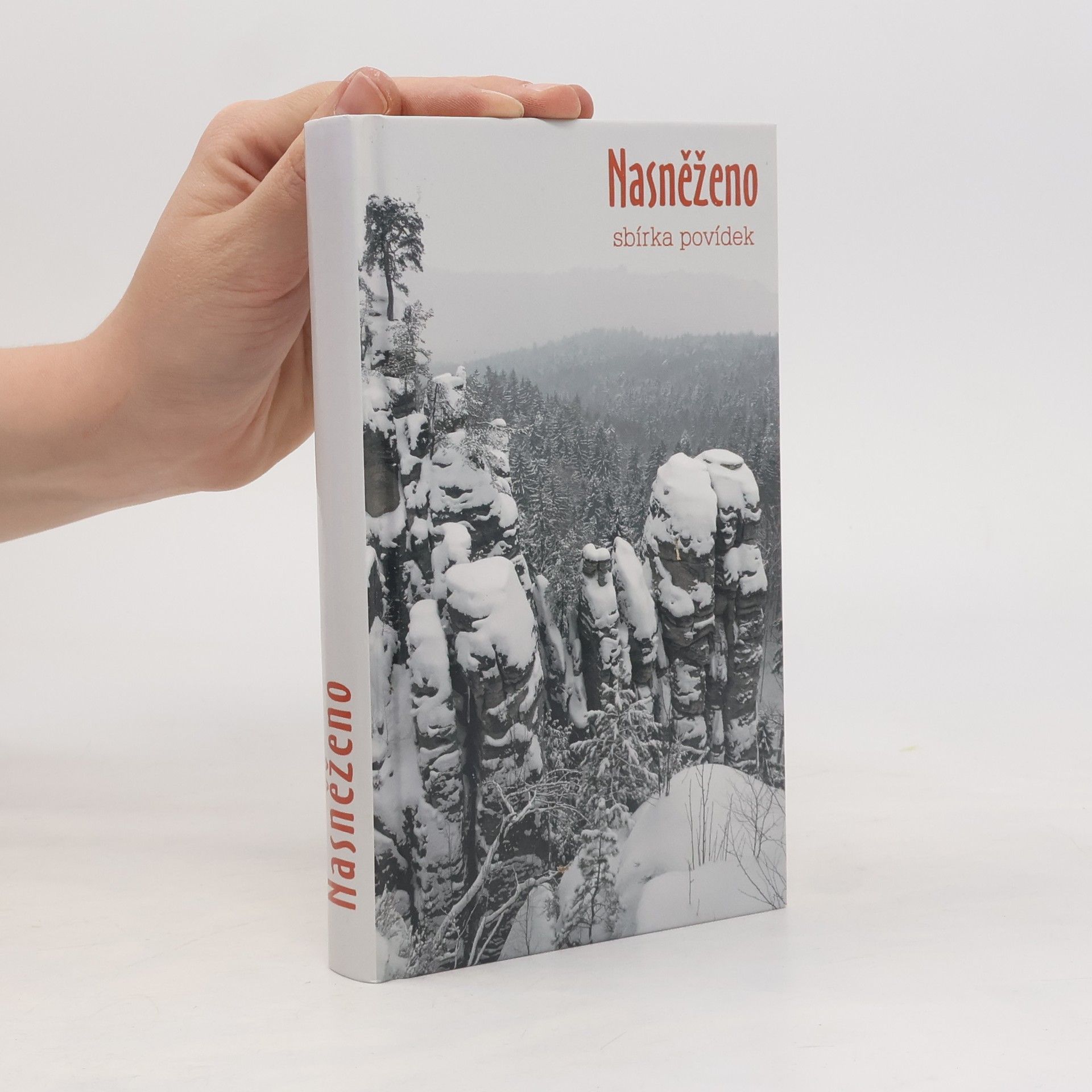 Nasněženo : almanach povídek z tvůrčích dílen Evy Hauserové
