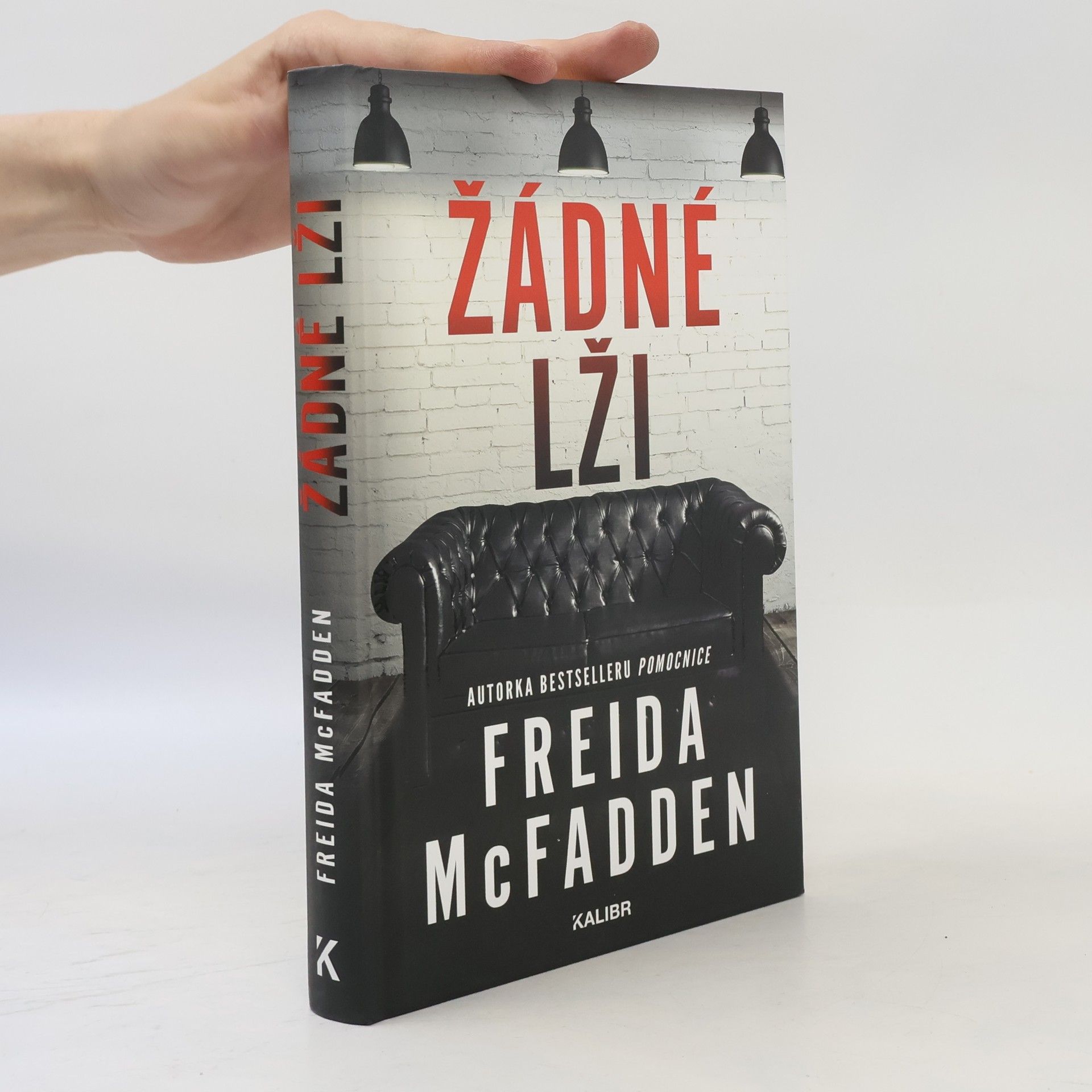 Freida McFaddenová Žádné lži