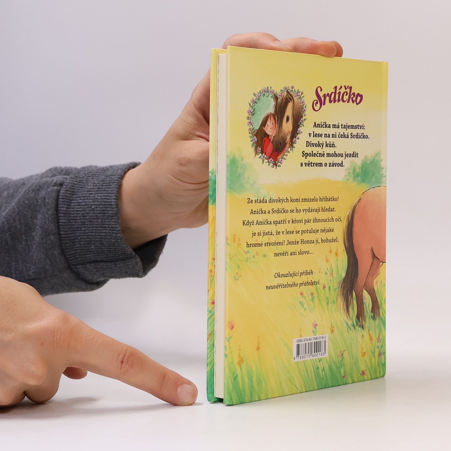 Usch Luhn Srdíčko - Anička zachraňuje hříbátko