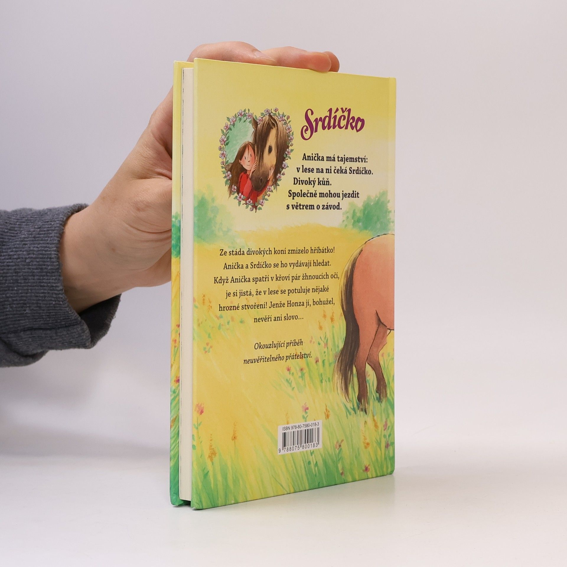 Usch Luhn Srdíčko - Anička zachraňuje hříbátko