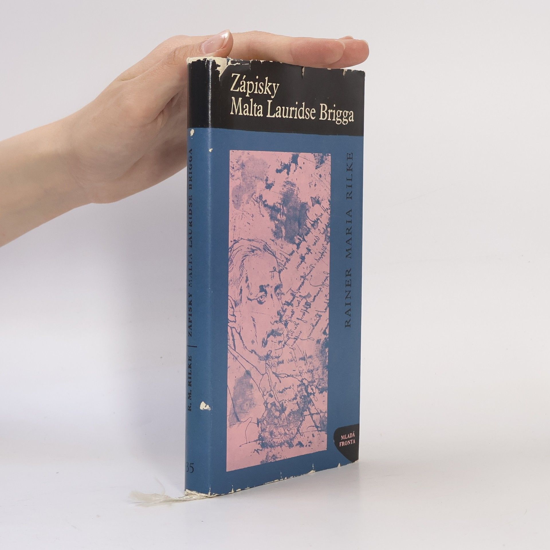 Rainer Maria Rilke Zápisky Malta Lauridse Brigga