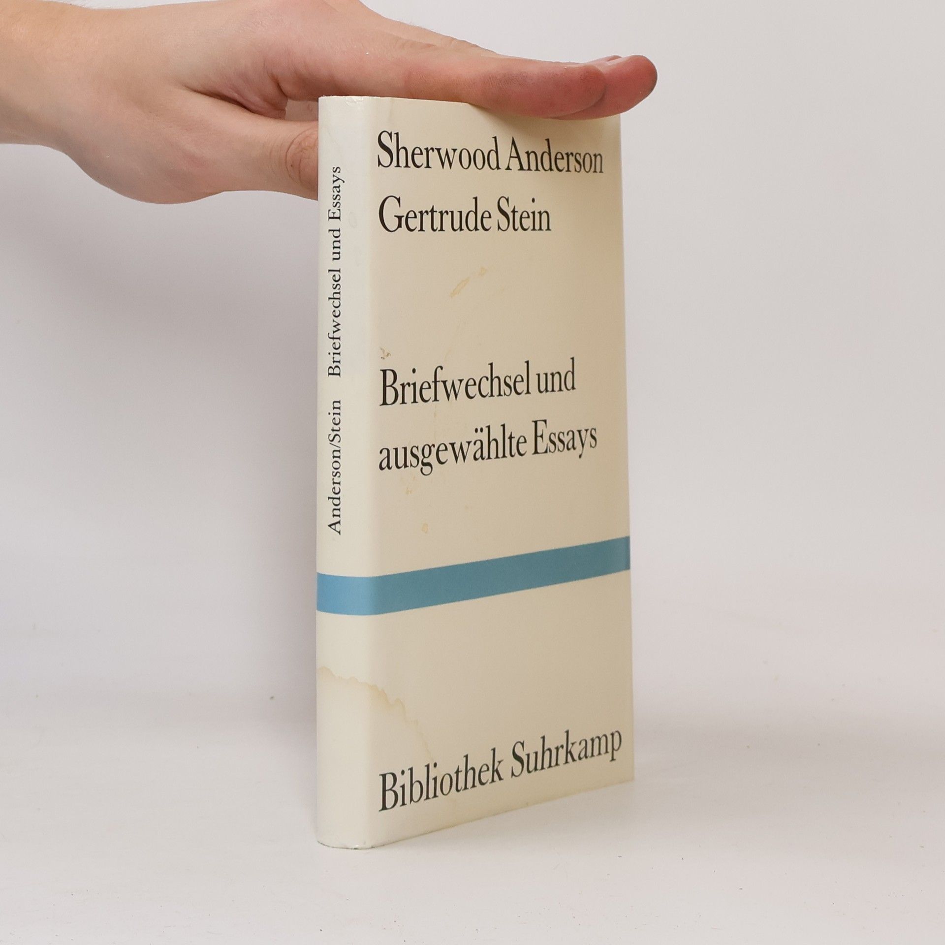 Sherwood Anderson Briefwechsel und ausgewählte Essays