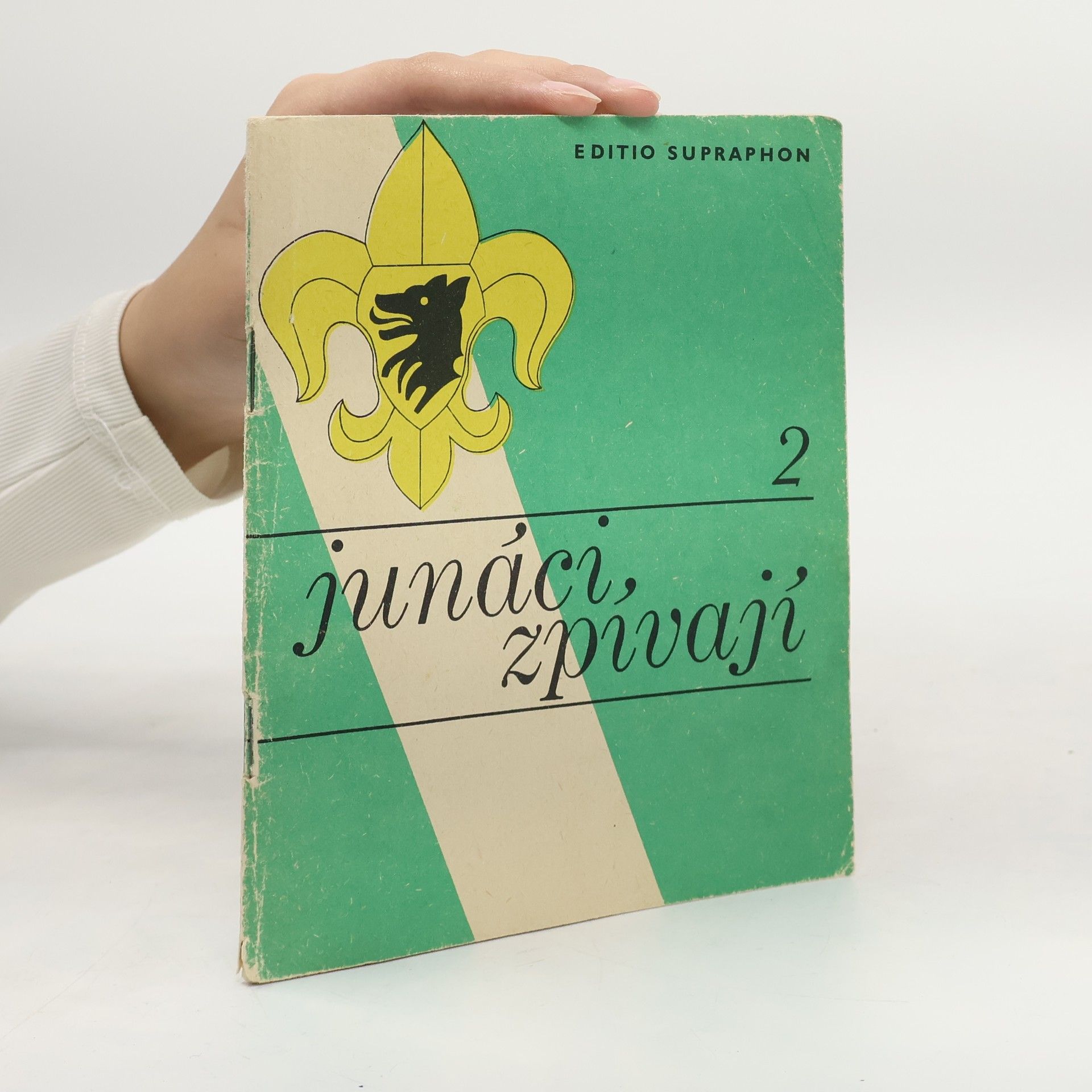 AA.VV. Junáci zpívají 2