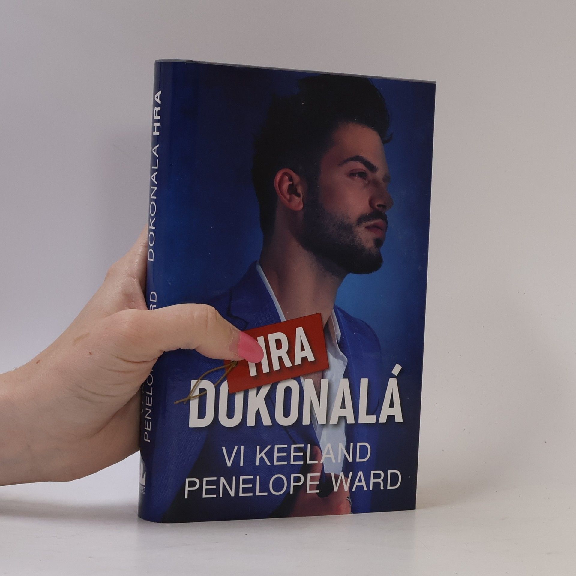 Vi Keeland Dokonalá hra