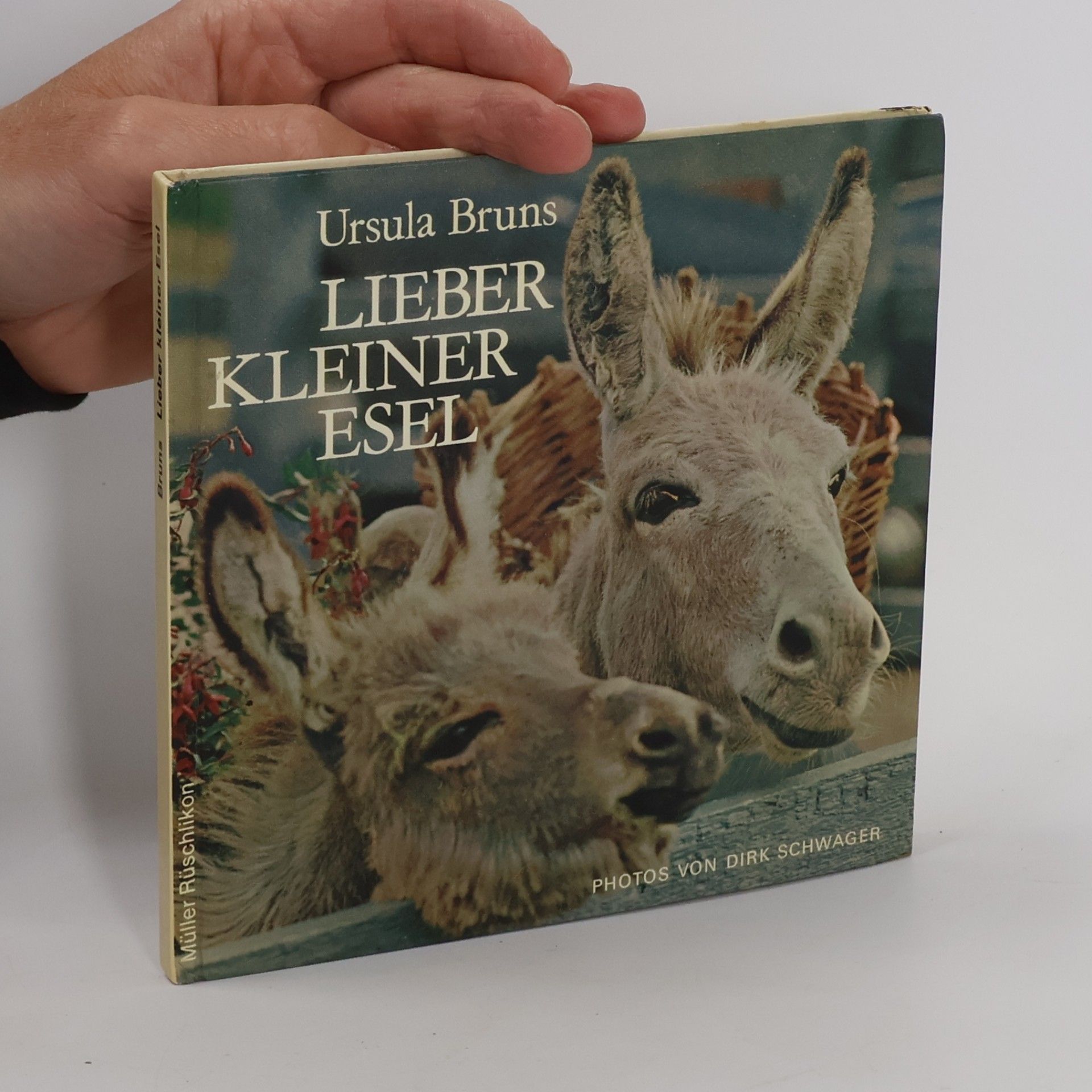 Lieber kleiner Esel