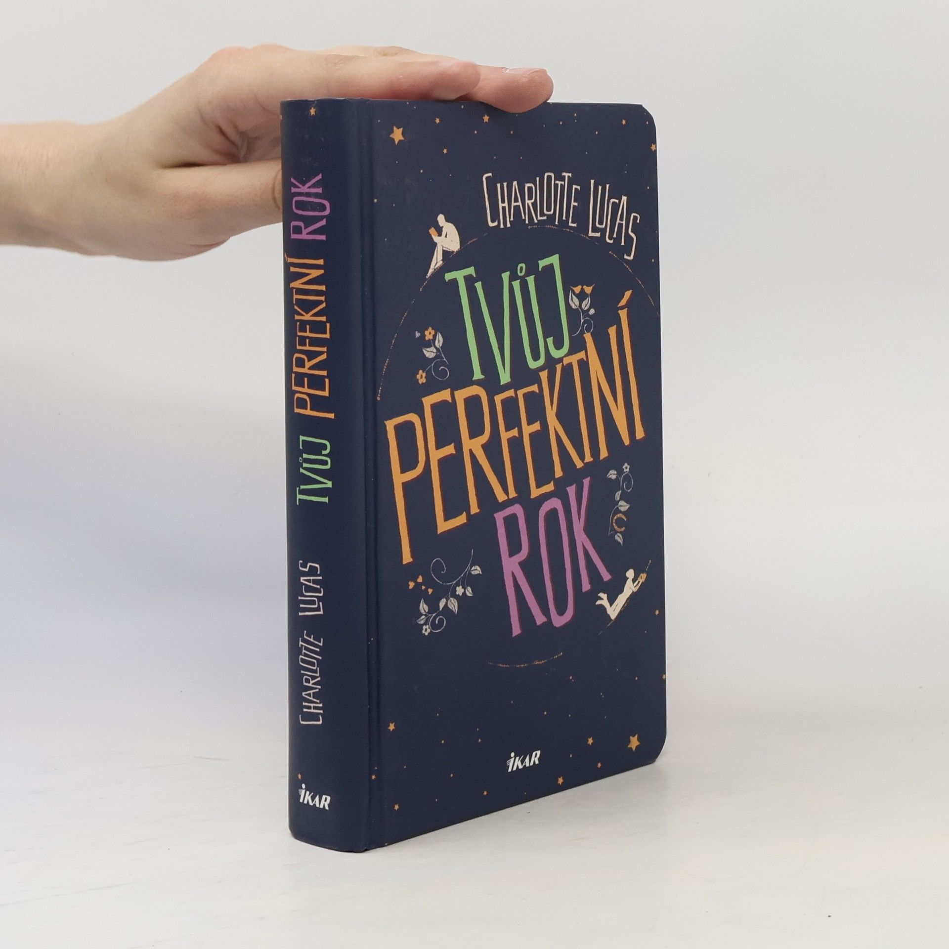 Charlotte Lucas Tvůj perfektní rok