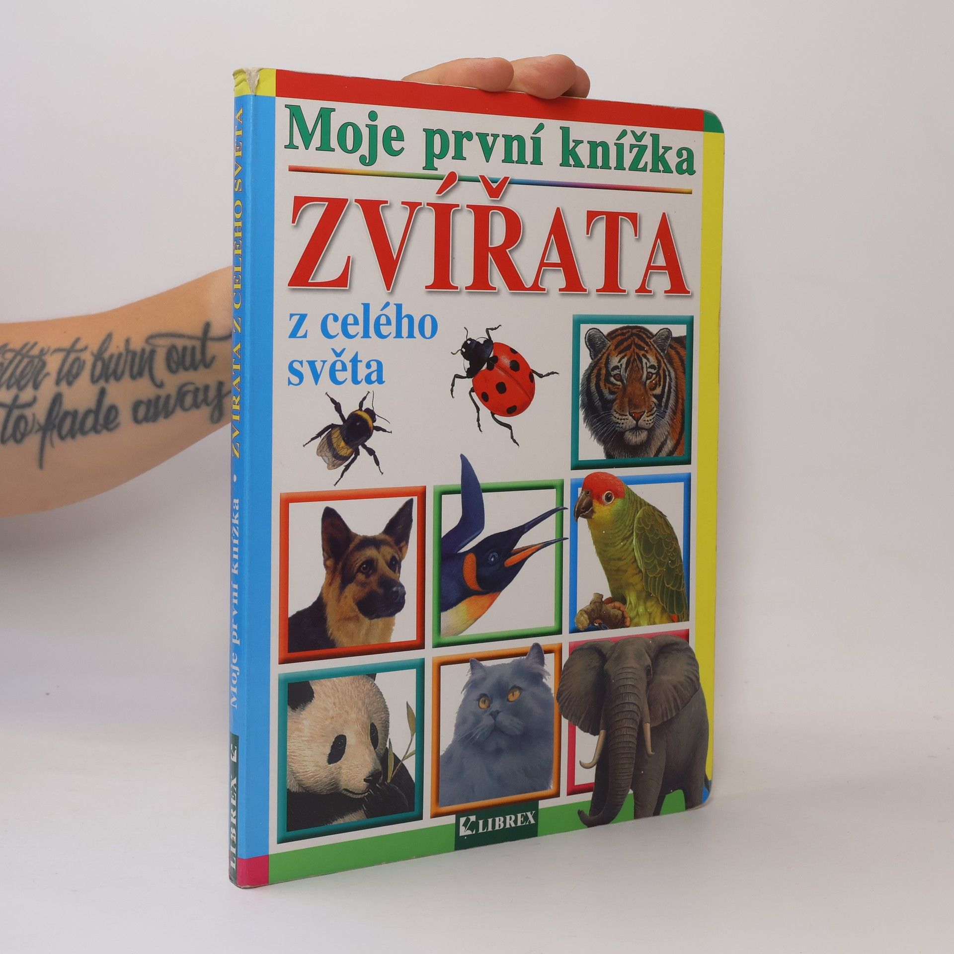 Kolektiv autorů Zvířata z celého světa