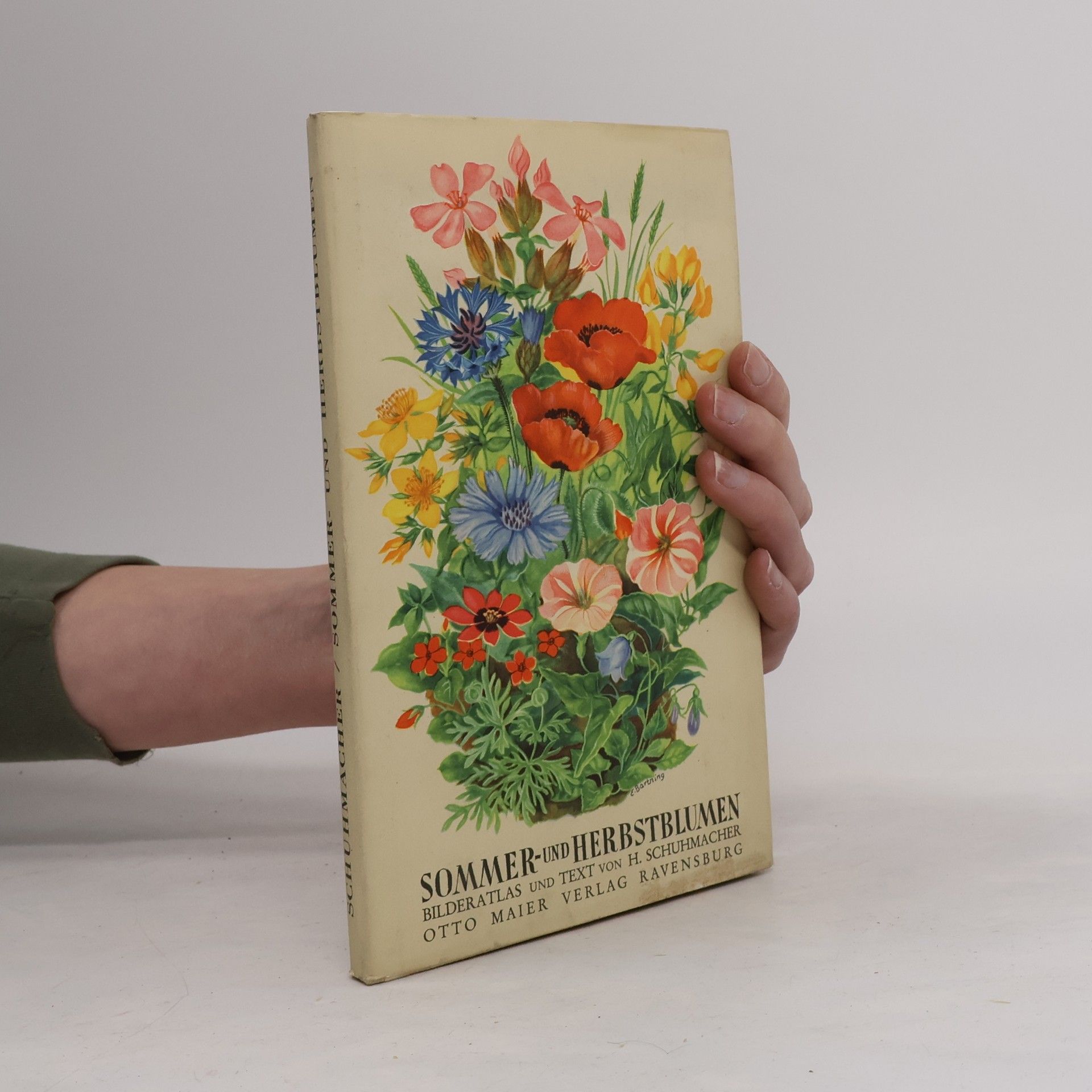 Hermann Schuhmacher Sommer- und Herbstblumen