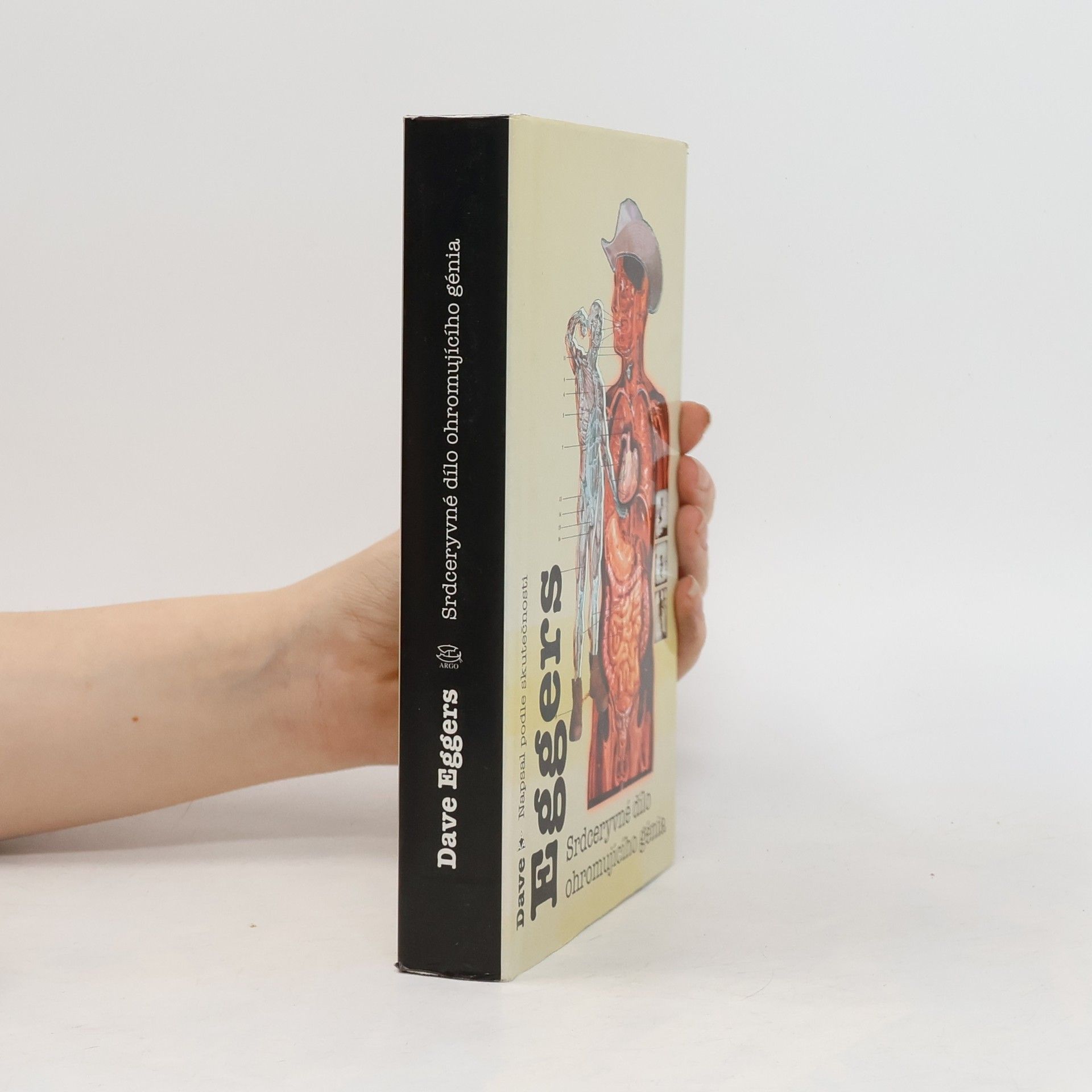 Dave Eggers Srdceryvné dílo ohromujícího génia