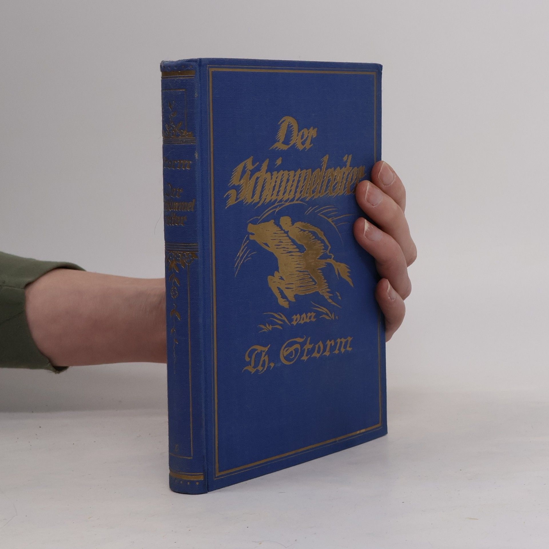 Der Schimmelreiter und andere Novellen