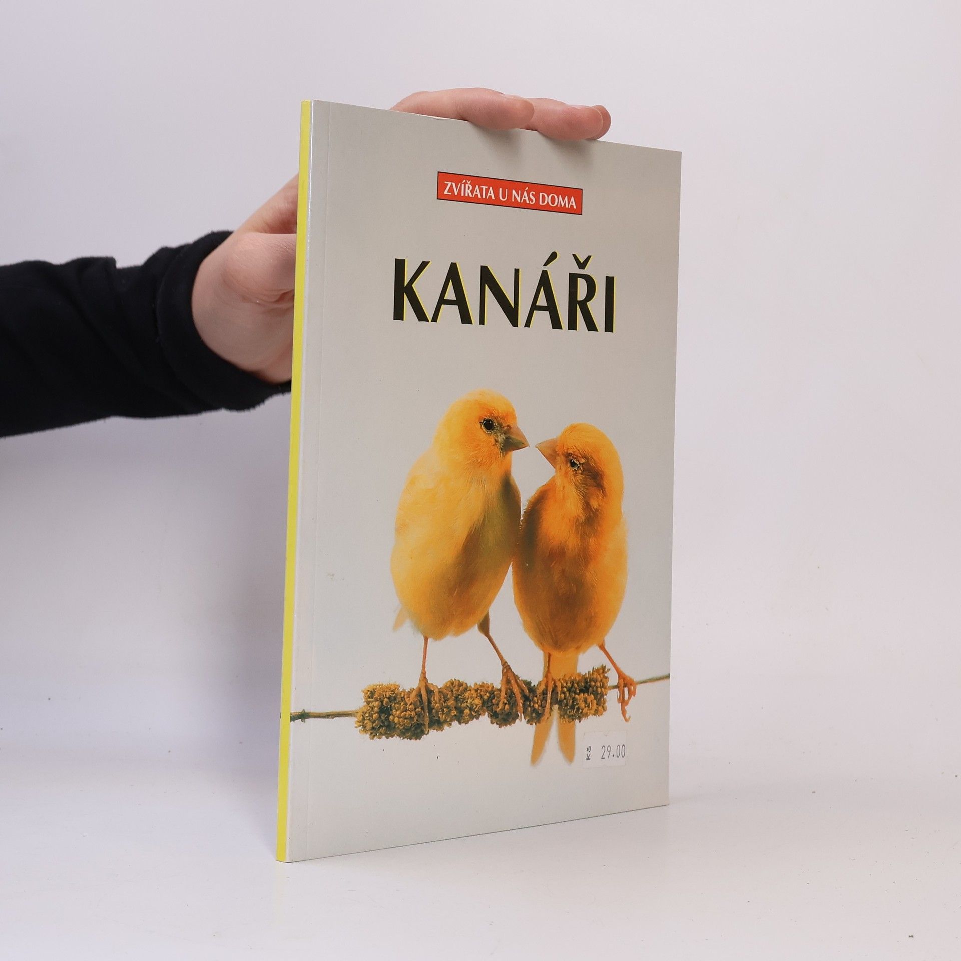 Markus Hübl Kanáři