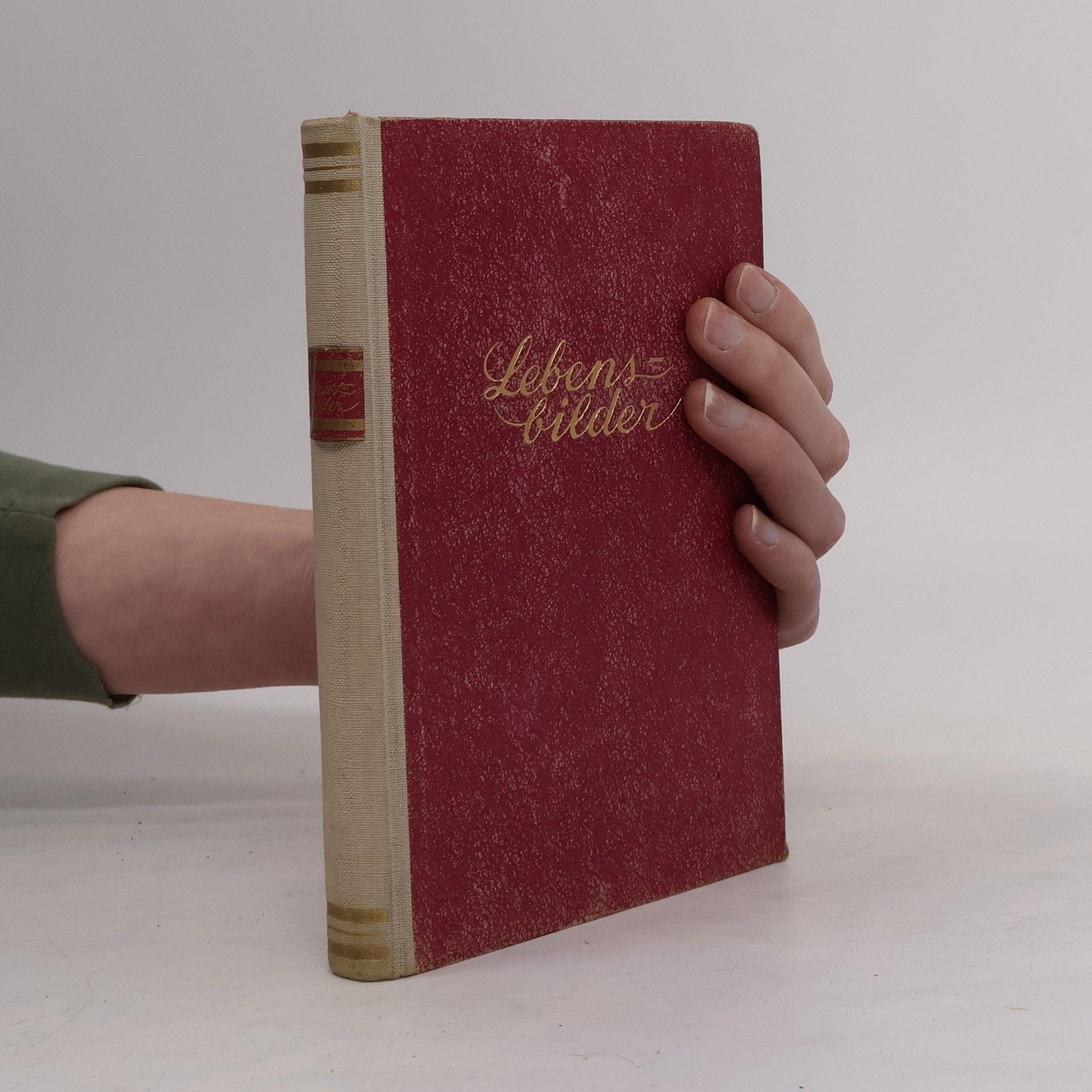 Various authors Lebensbilder. Edle, sittliche Grundsätze für den häuslichen Kreis