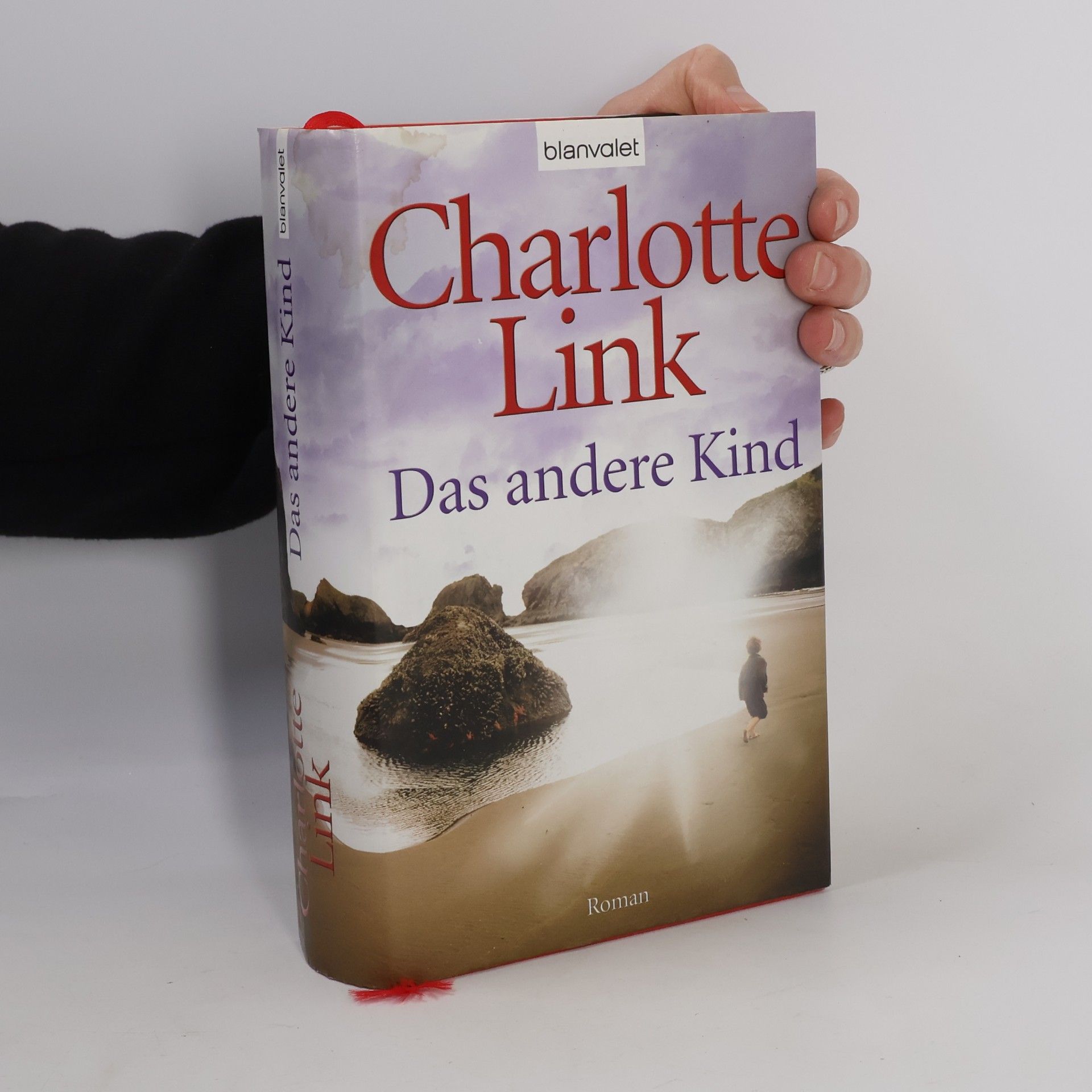Charlotte Link Das andere Kind