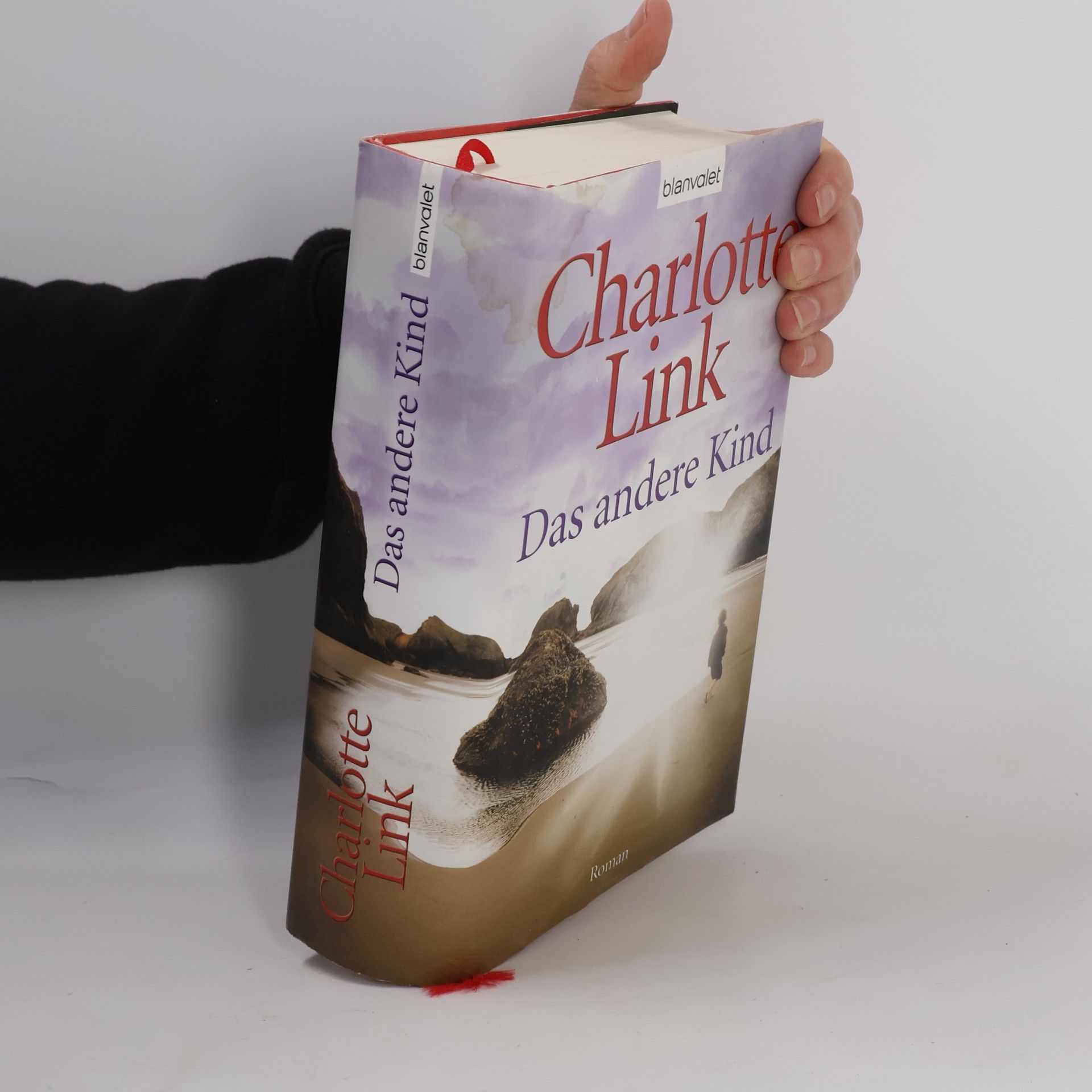 Charlotte Link Das andere Kind