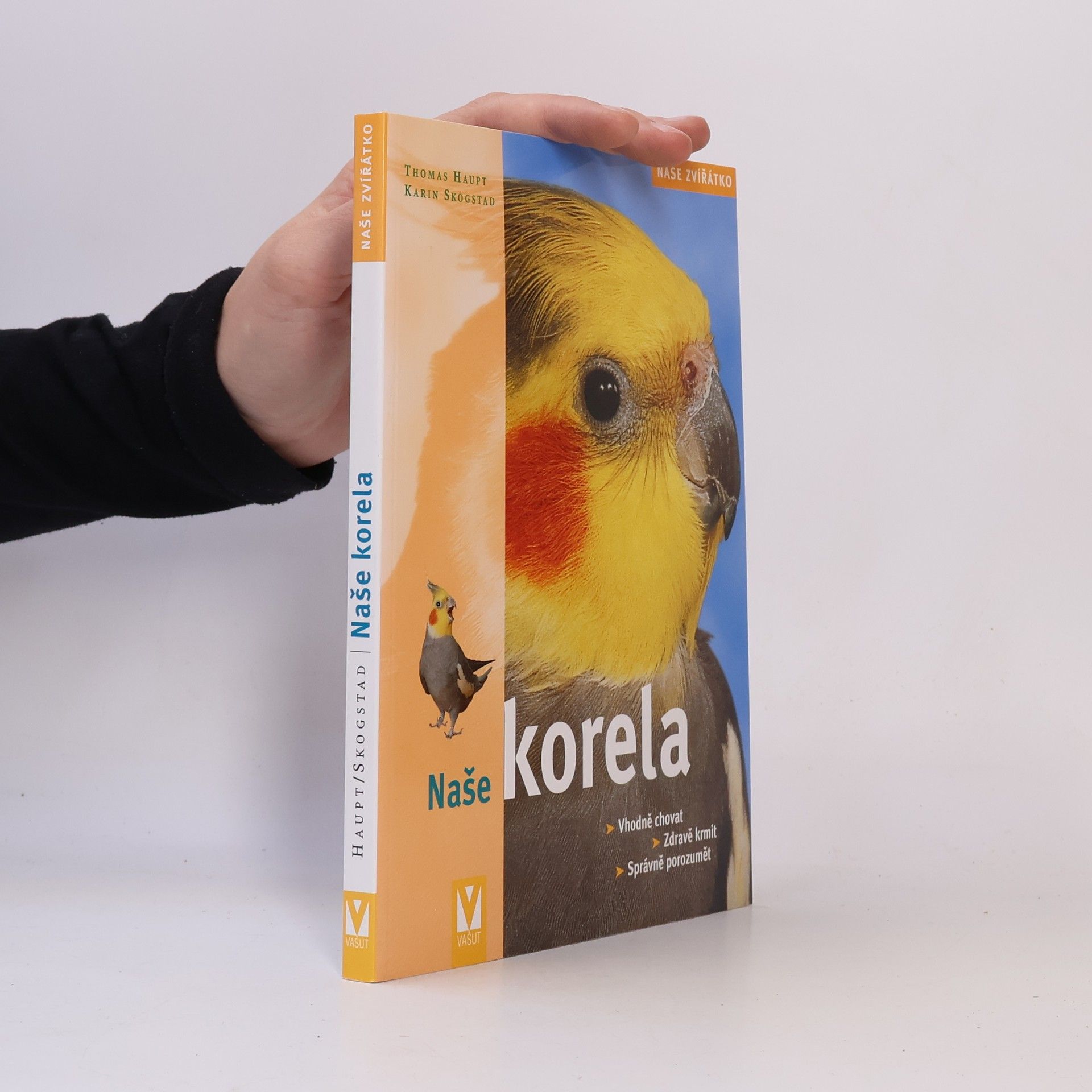Naše korela