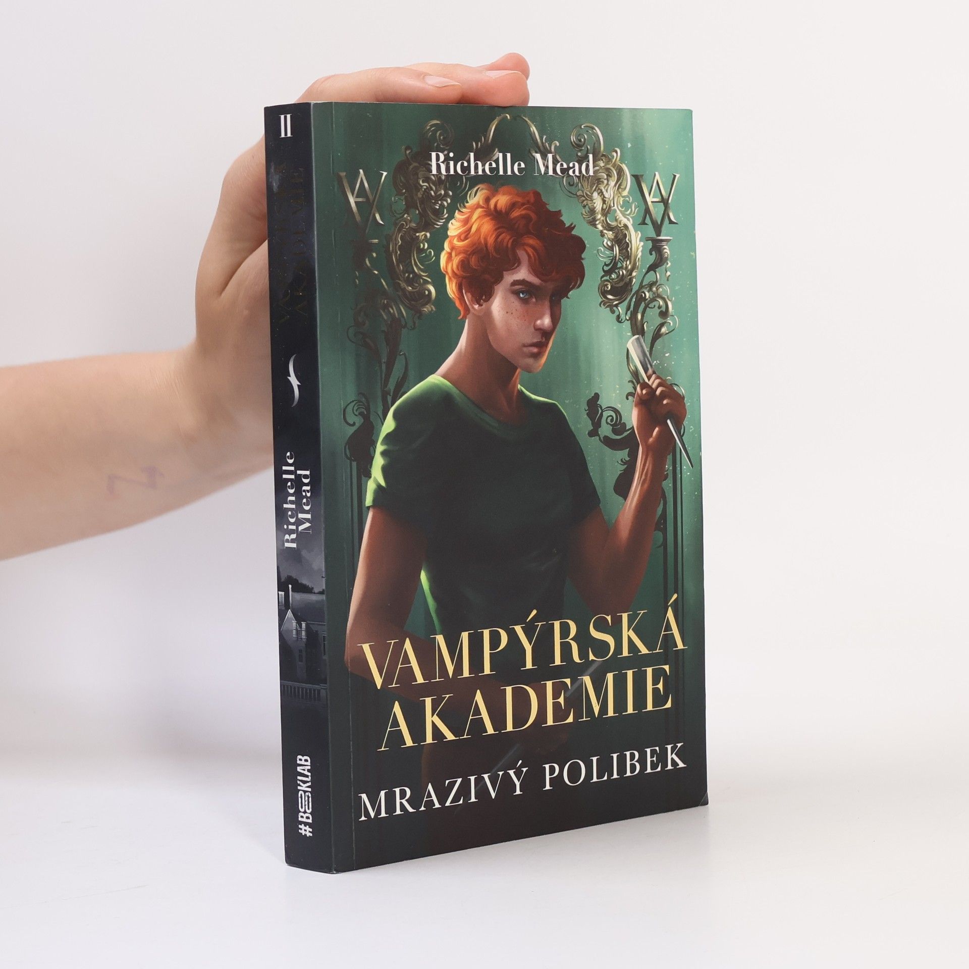 Richelle Mead Vampýrská akademie 2: Mrazivý polibek
