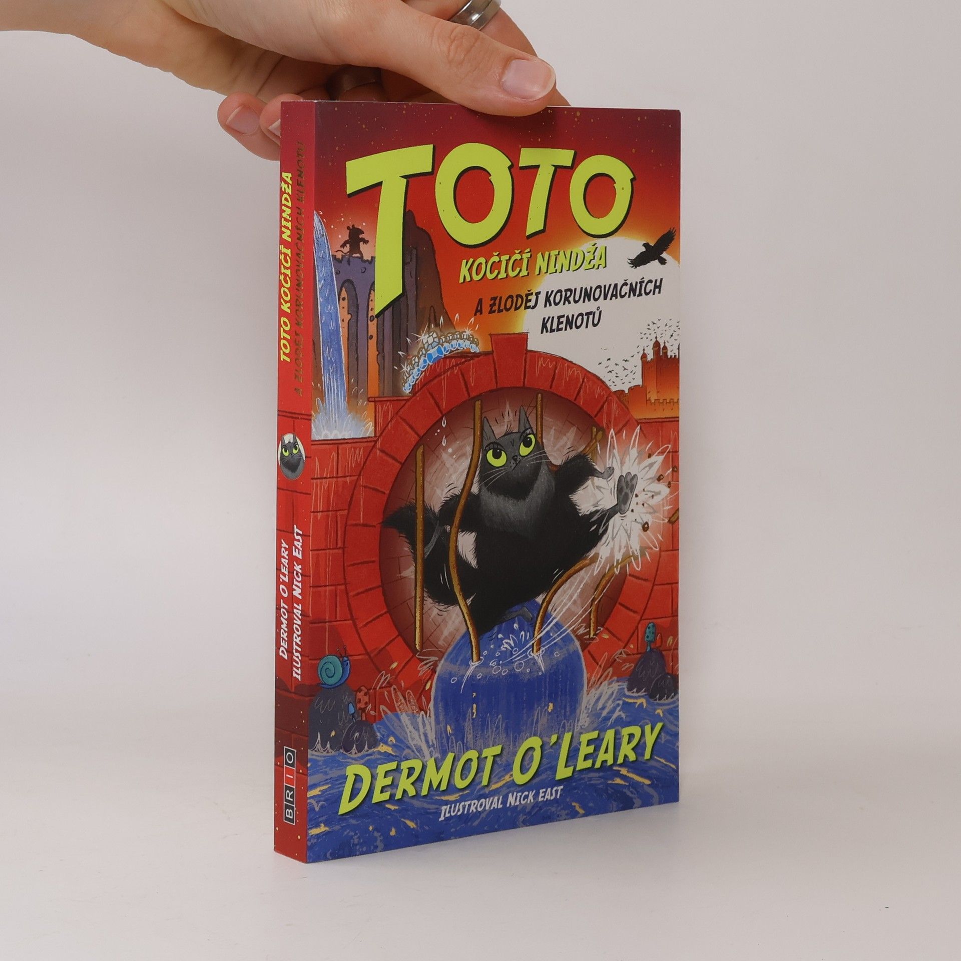 Dermot O\'Leary Toto. Kočičí nindža a zloděj korunovačních klenotů