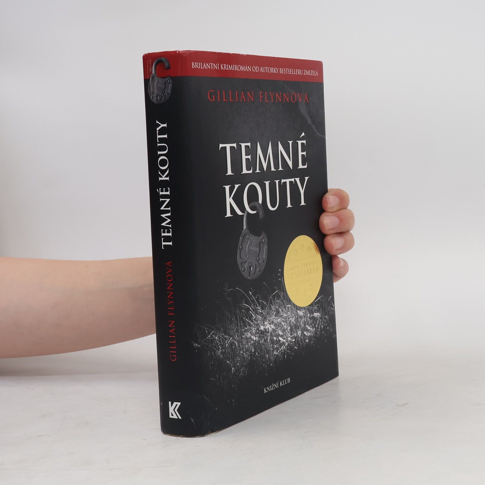 Gillian Flynn Temné kouty