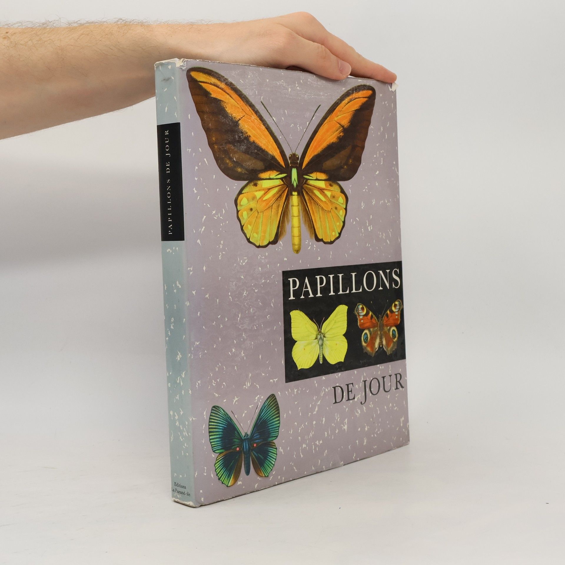 Papillons de jour