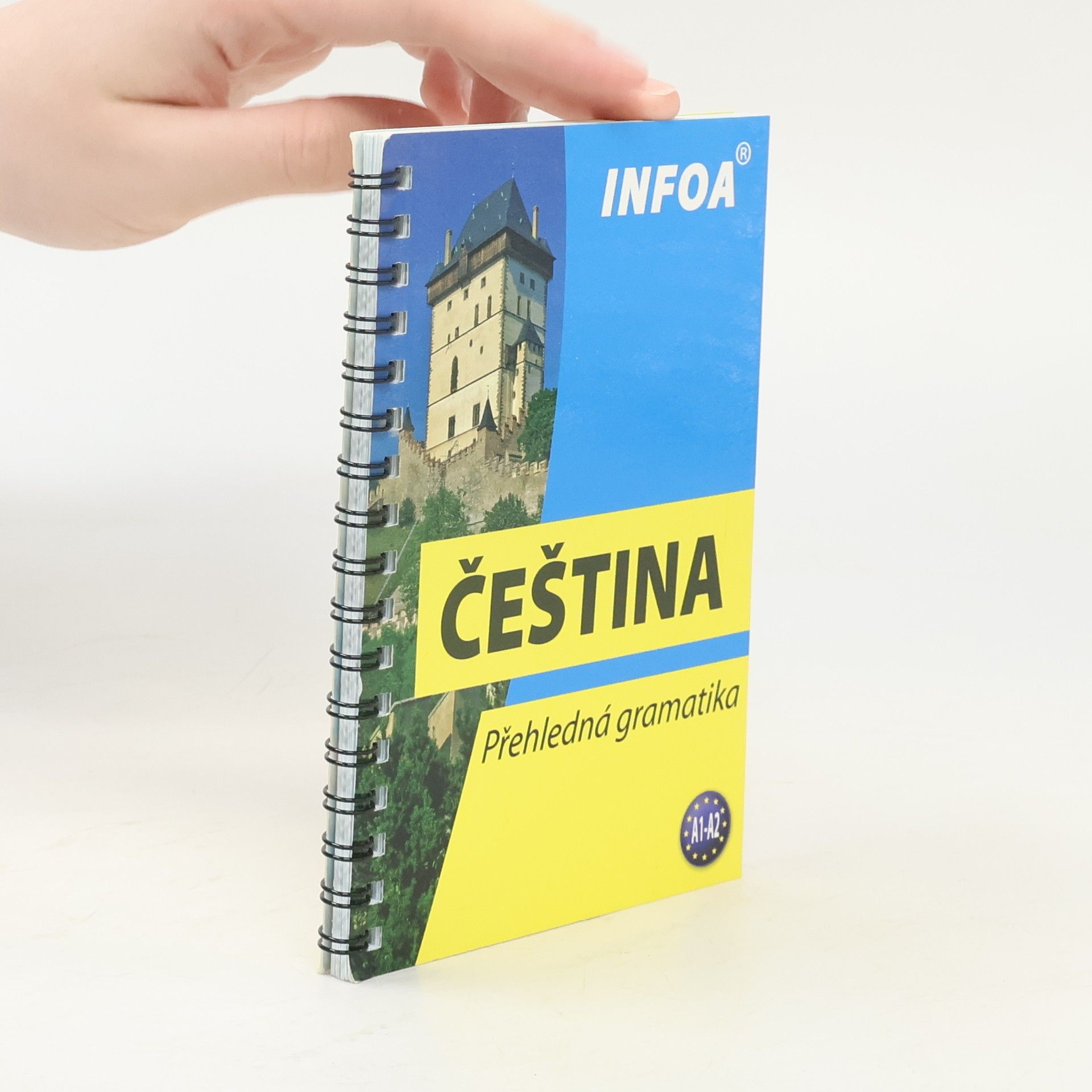 Autorenkollektiv Čeština : přehledná gramatika