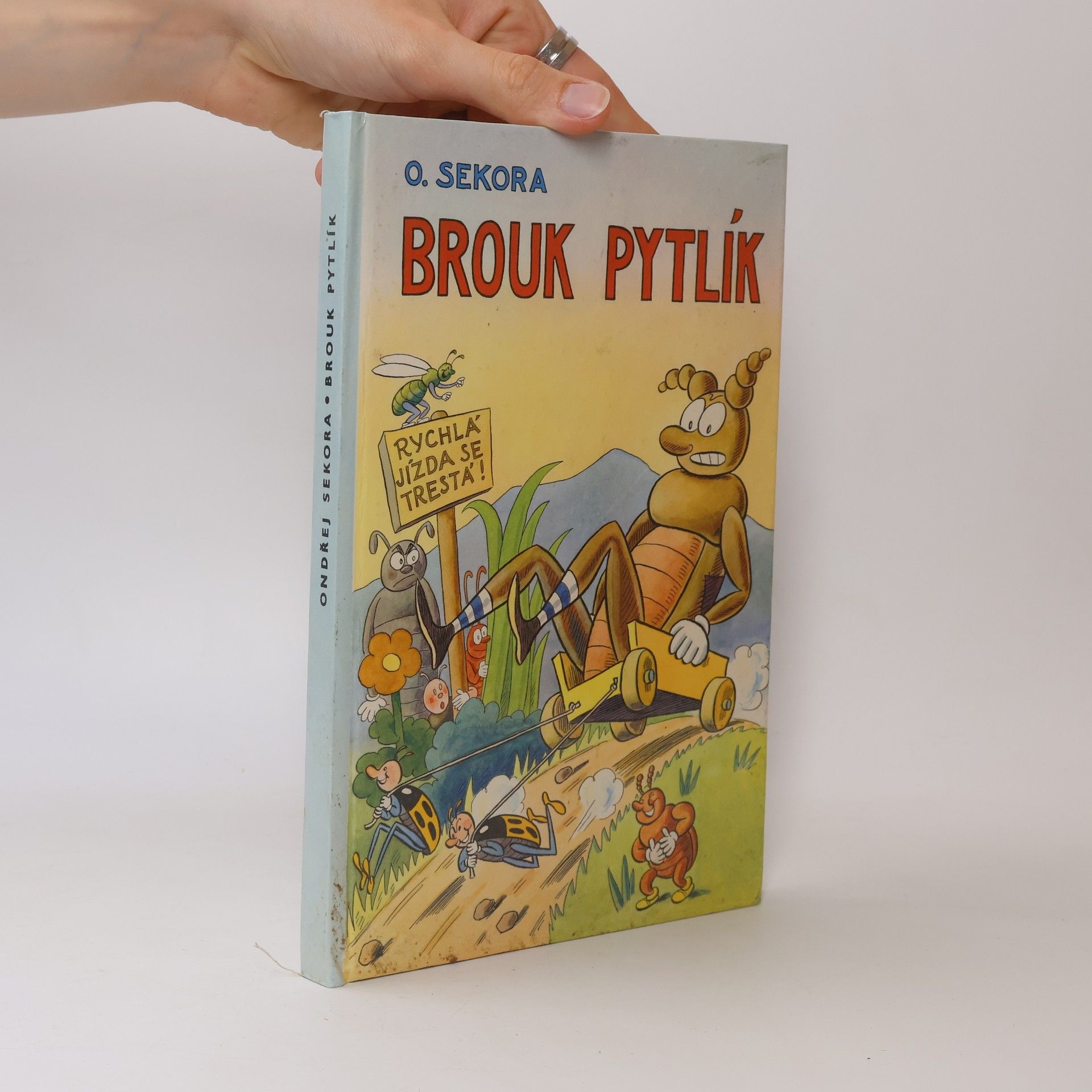 Brouk Pytlík