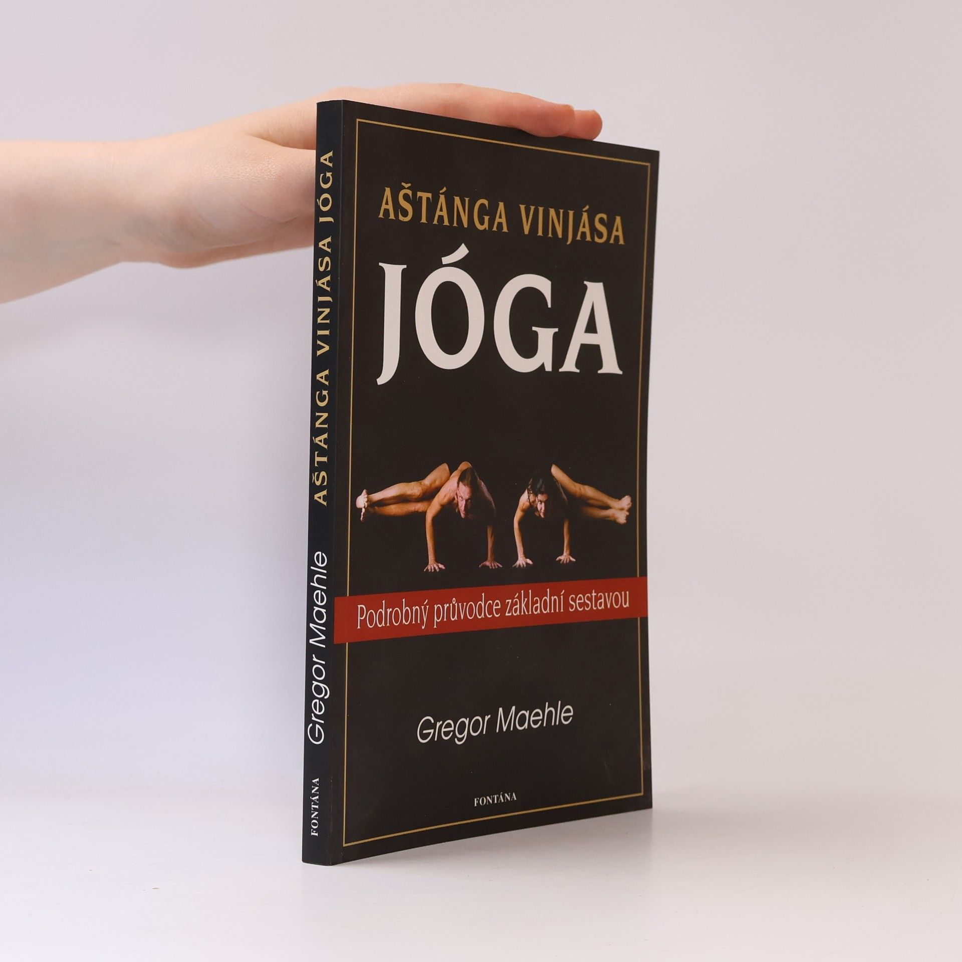 Gregor Maehle Aštánga vinjása jóga