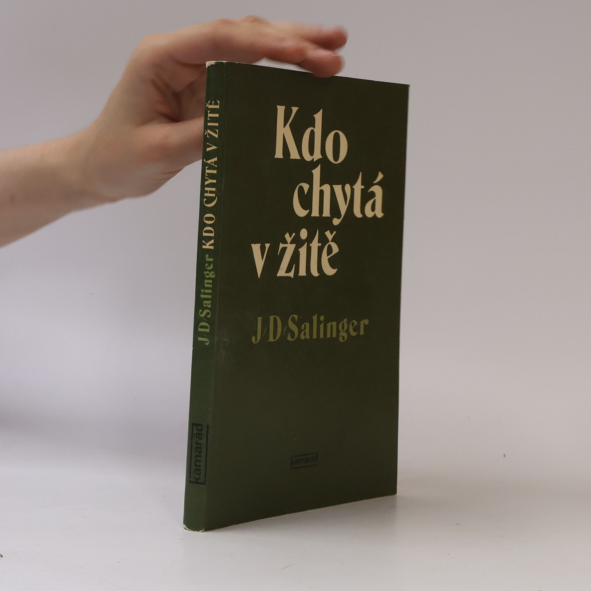 Jerome David Salinger Kdo chytá v žitě