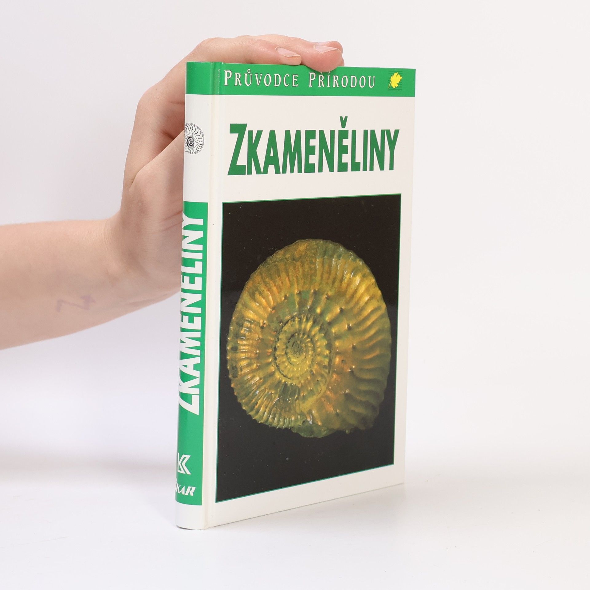 Gerhard Lichter Zkameněliny