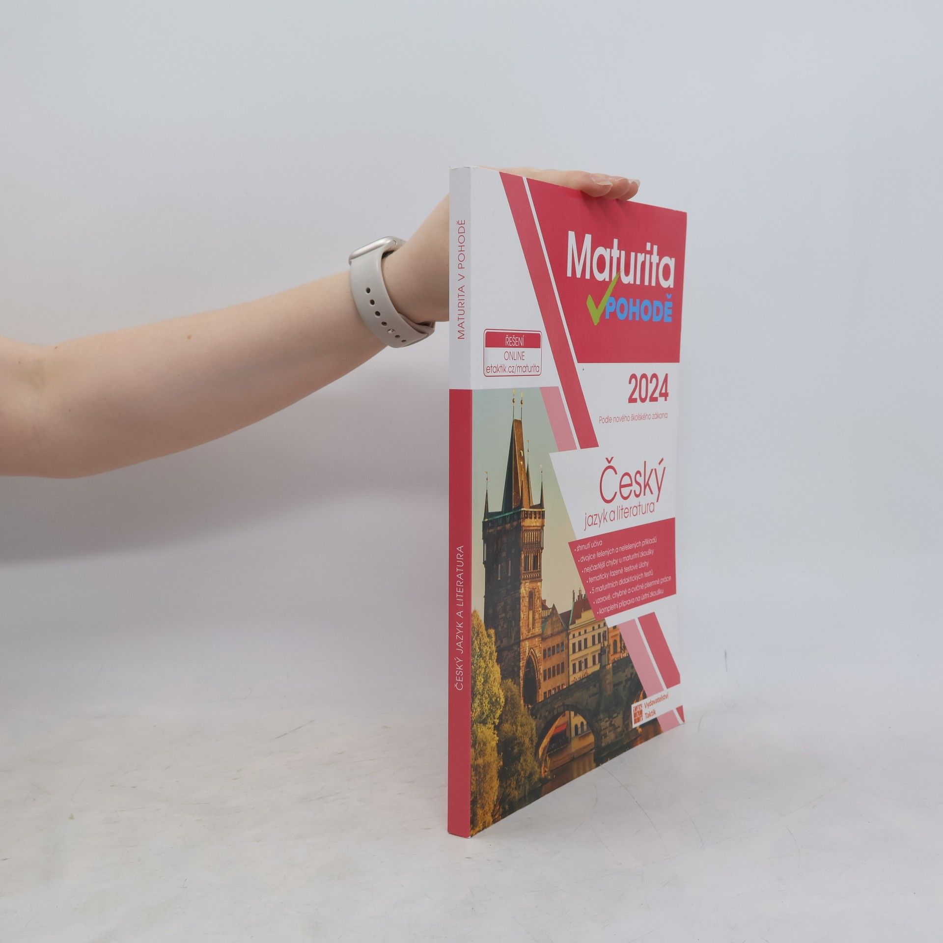 Various authors Maturita v pohodě. Český jazyk a literatura