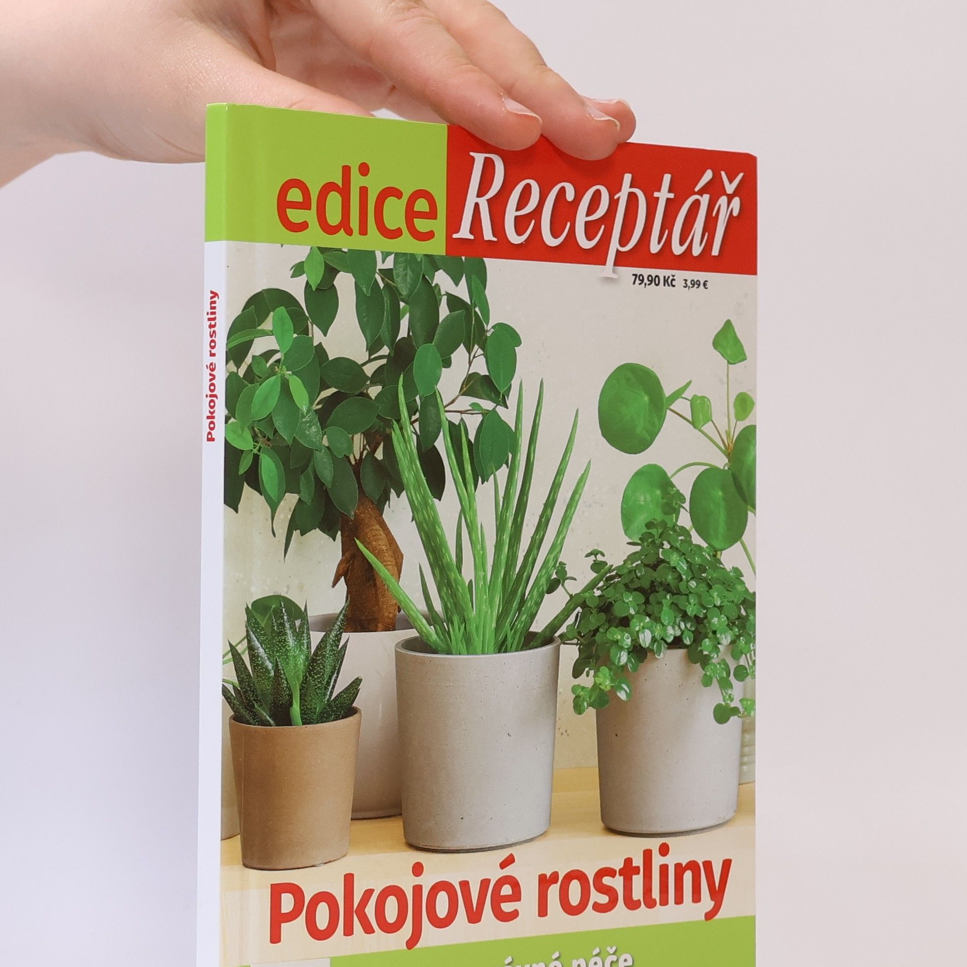 Jana Bucharová Pokojové rostliny