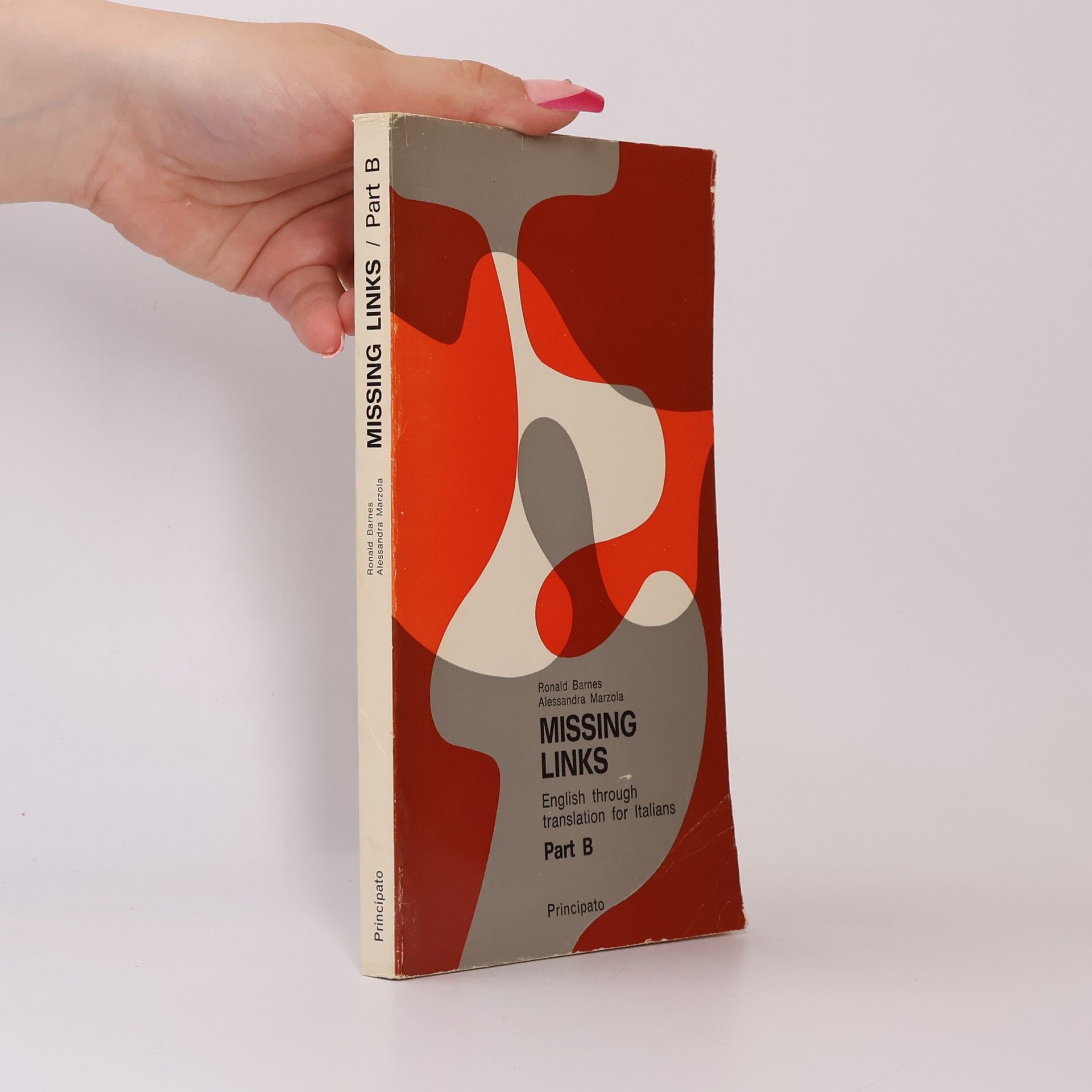 Alessandra Marzola Missing Links B