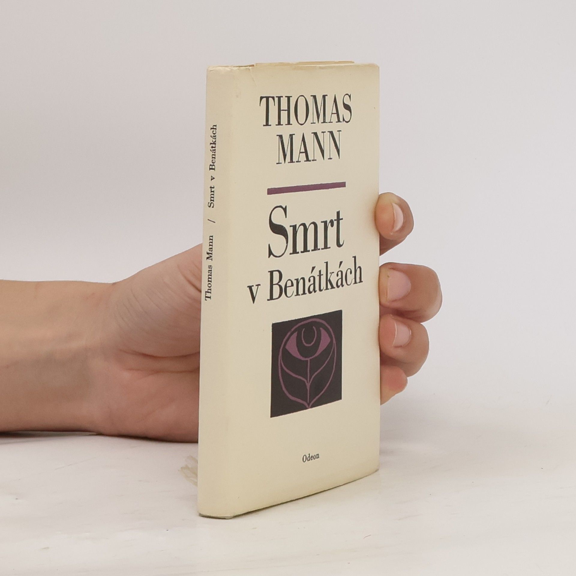 Thomas Mann Smrt v Benátkách