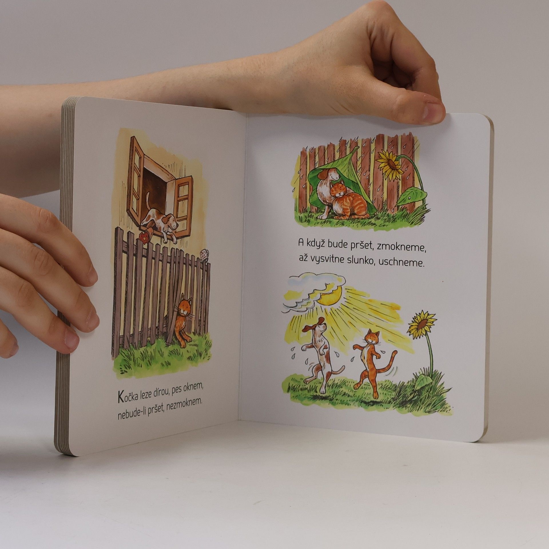 Autorenkollektiv Pásla ovečky - Lidové říkanky