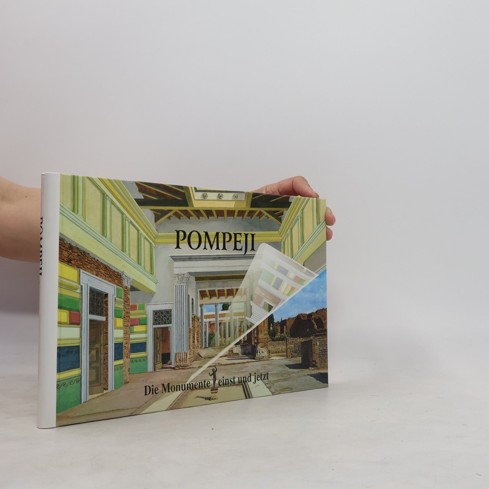 Irene Bragantini Pompeji. Die Monumente einst und jetzt