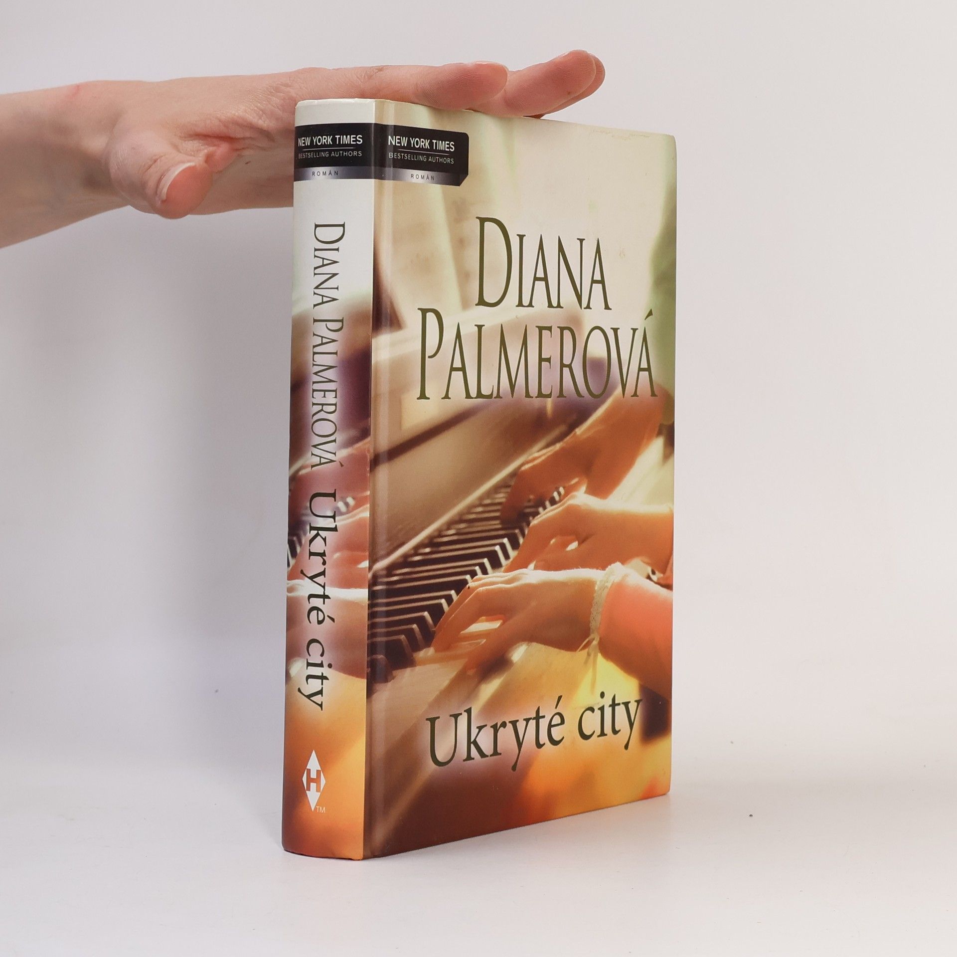 Diana Palmer Ukryté city