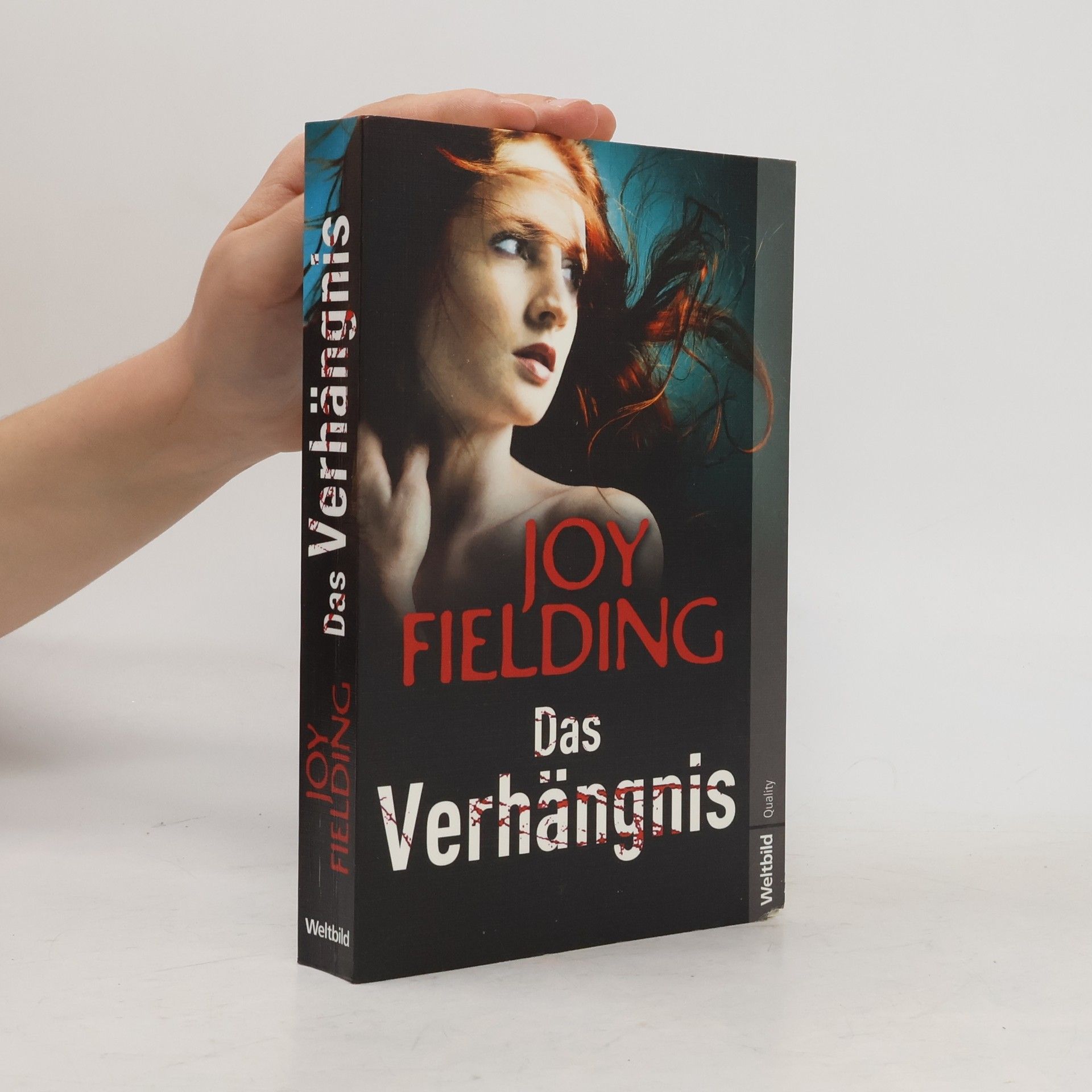 Joy Fielding Das Verhängnis