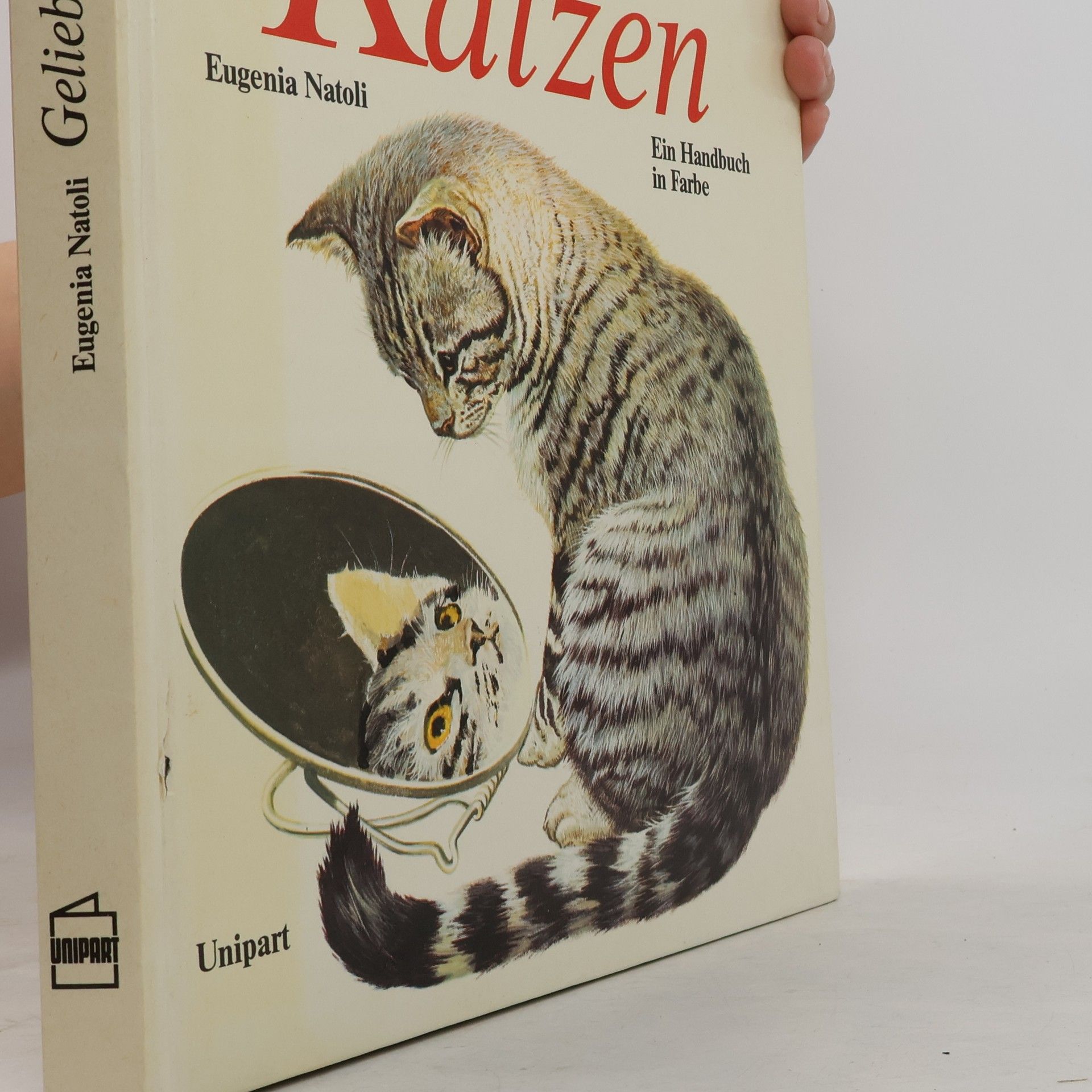 Eugenia Natoli Geliebte Katzen
