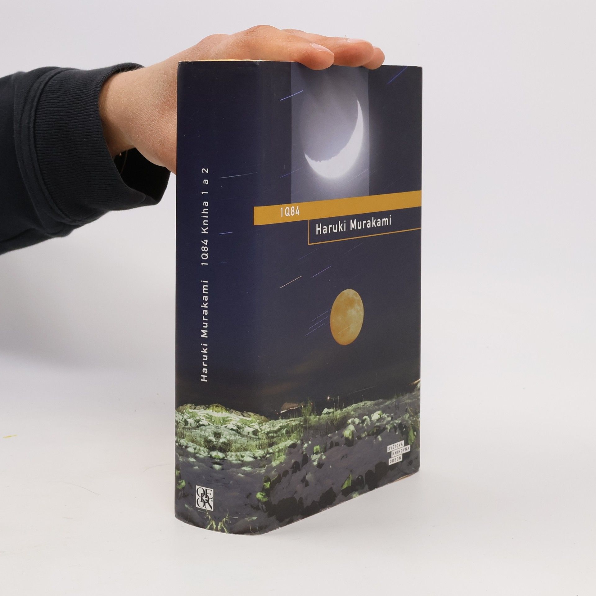 Haruki Murakami 1Q84. Kniha 1 a 2