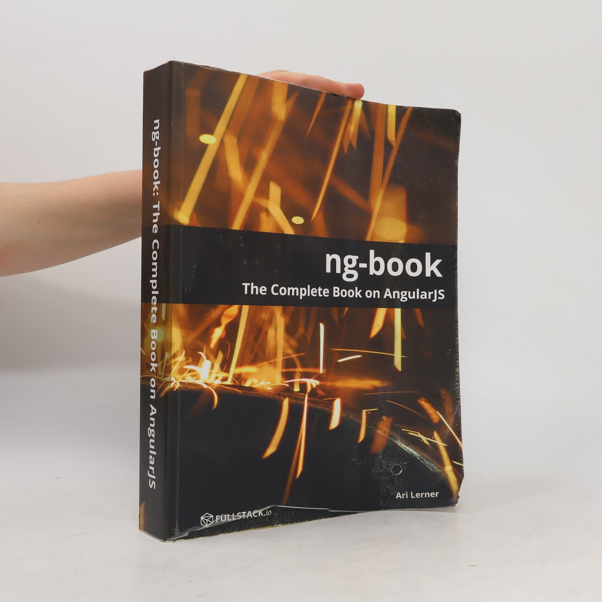 Ari Lerner ng-book