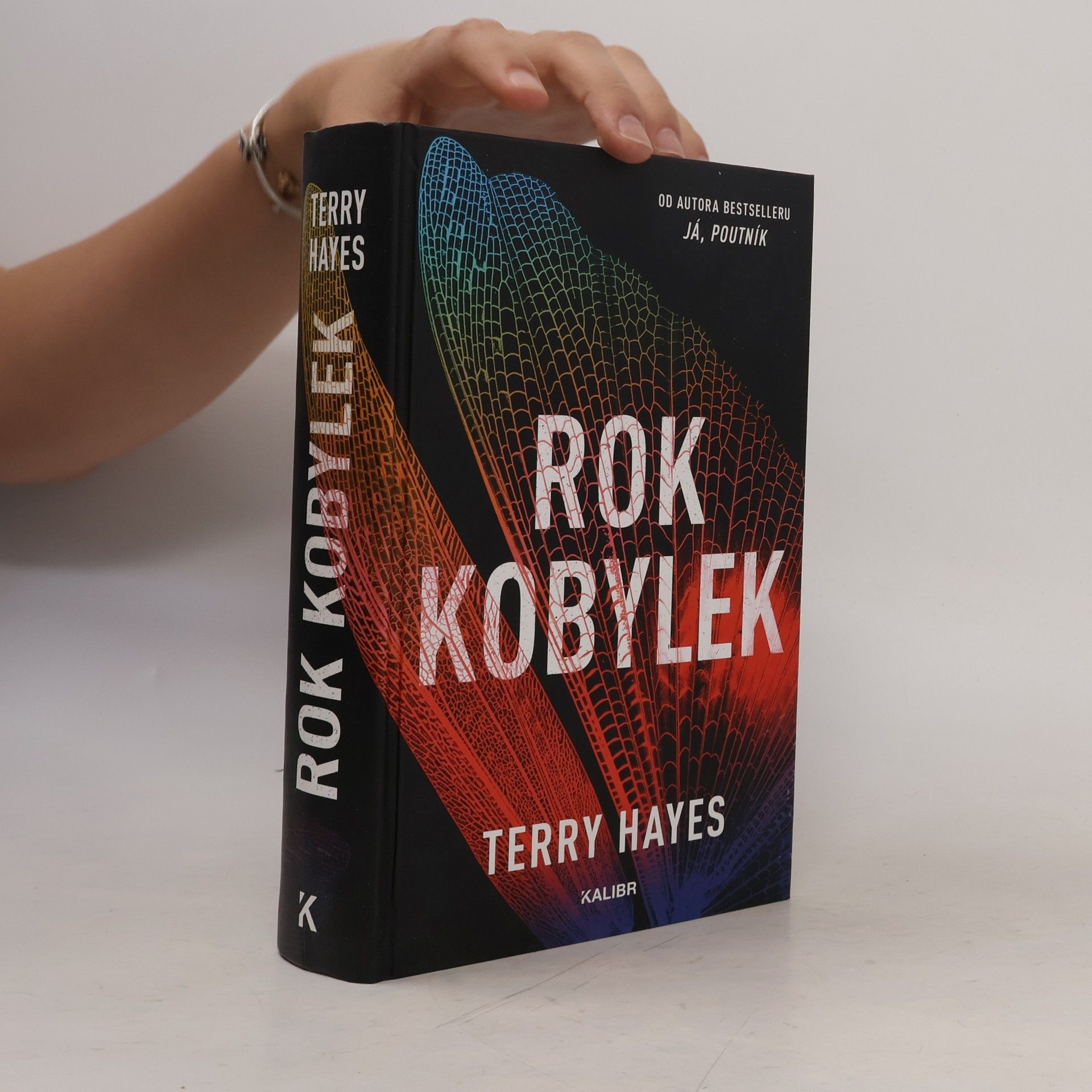 Terry Hayes Rok kobylek