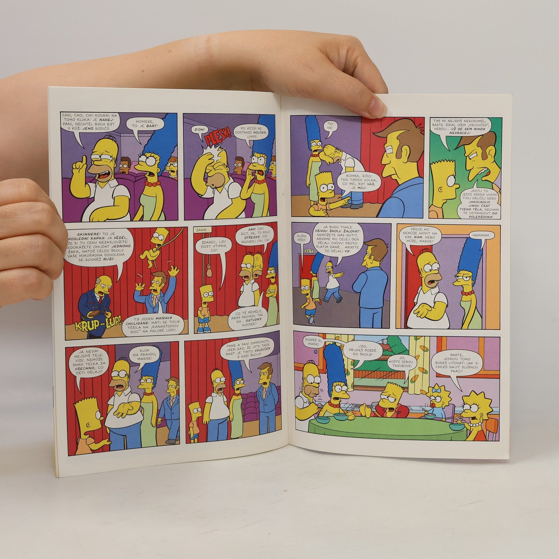 Matt Groening Simpsonovi - Bart Simpson 7/2016: Borec nad věcí