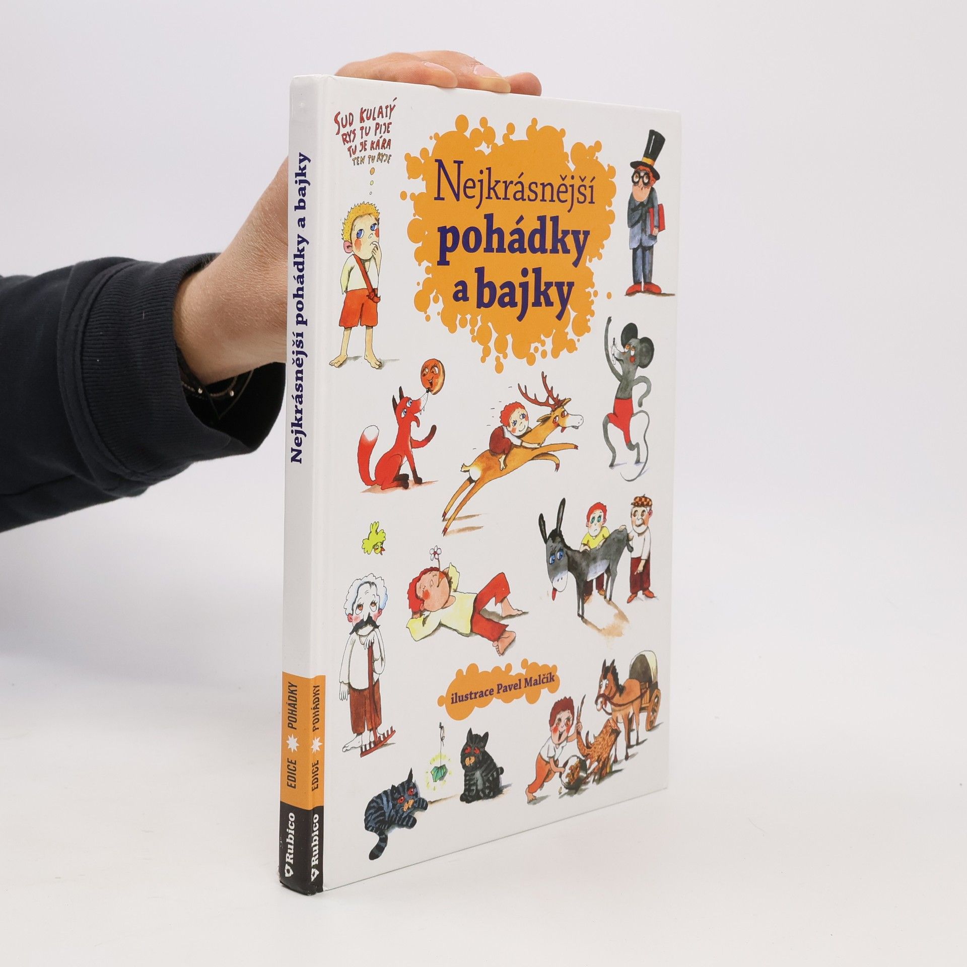 Autorenkollektiv Nejkrásnější pohádky a bajky