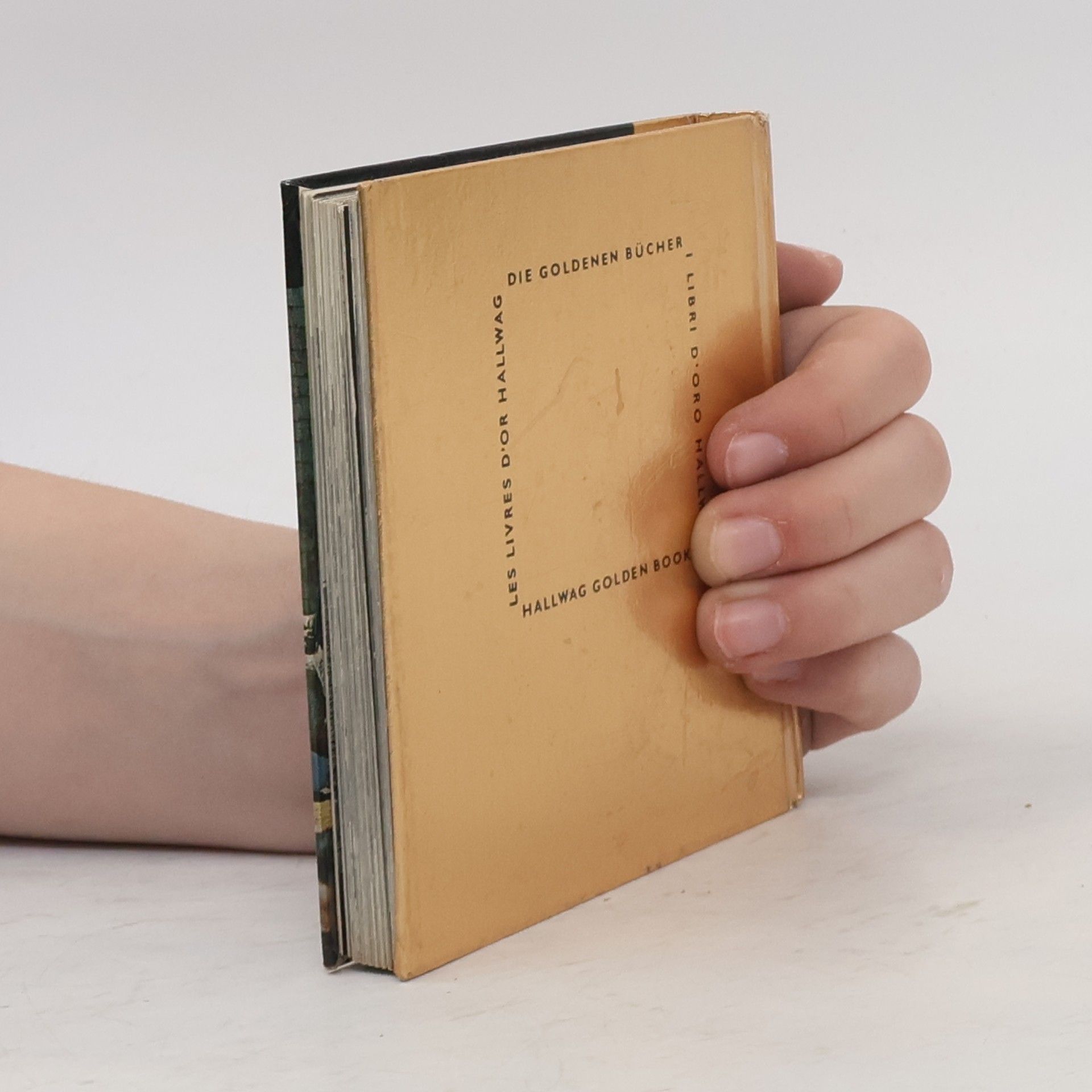 Autorenkollektiv Egypt. Ägypten