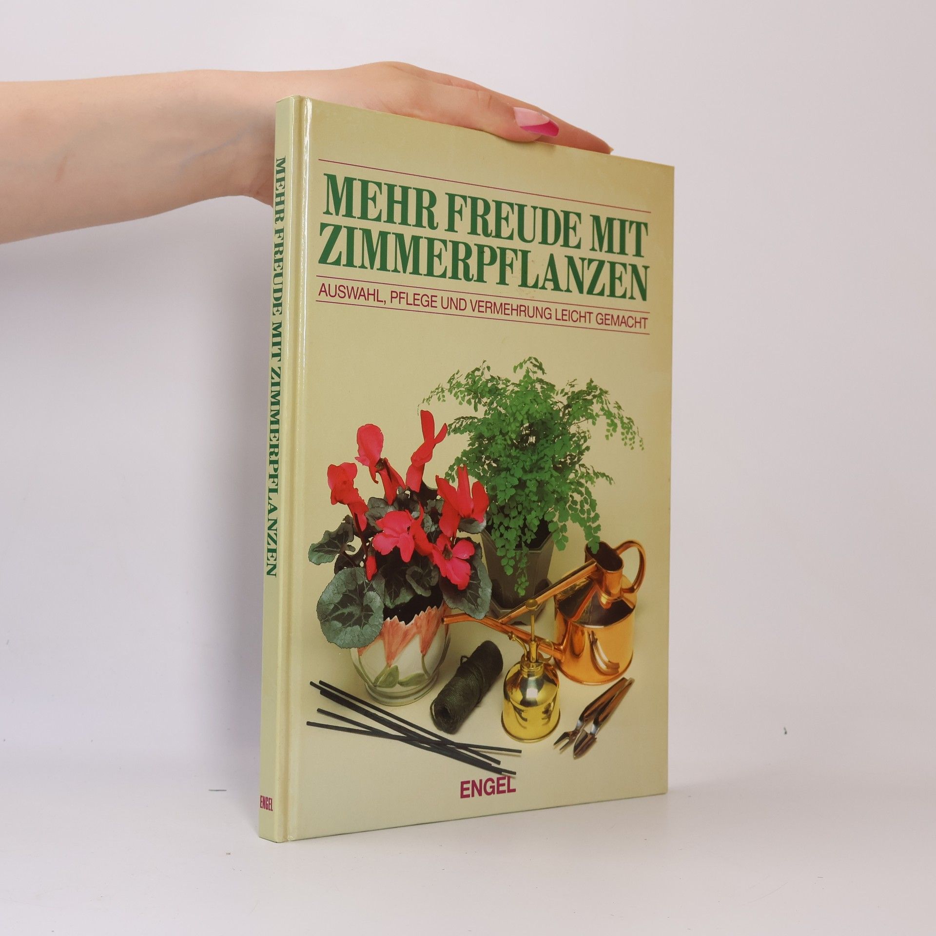 Kolektiv autorů Mehr Freude mit Zimmerpflanzen